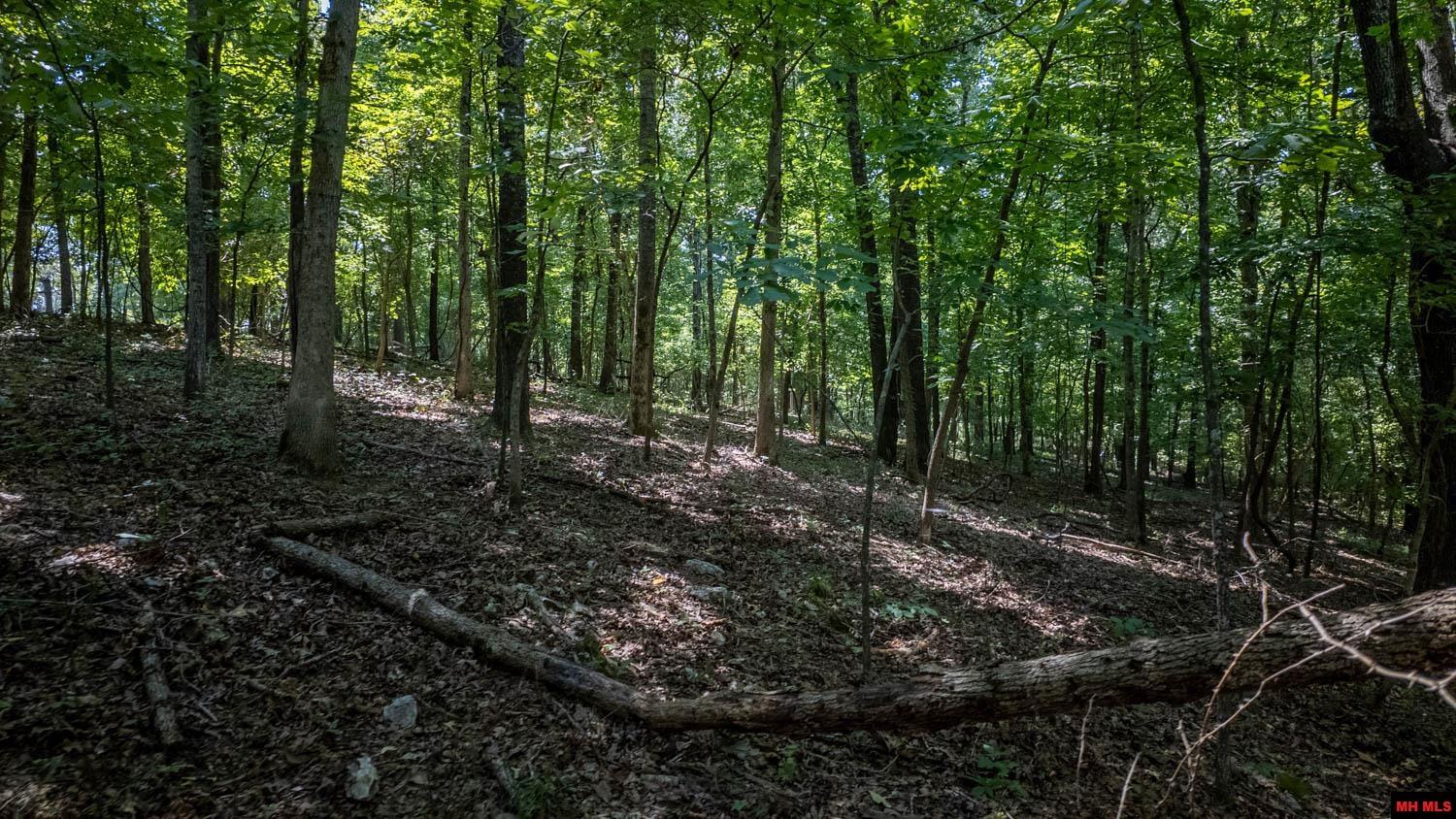 Lots 17-19 Riverbend Drive