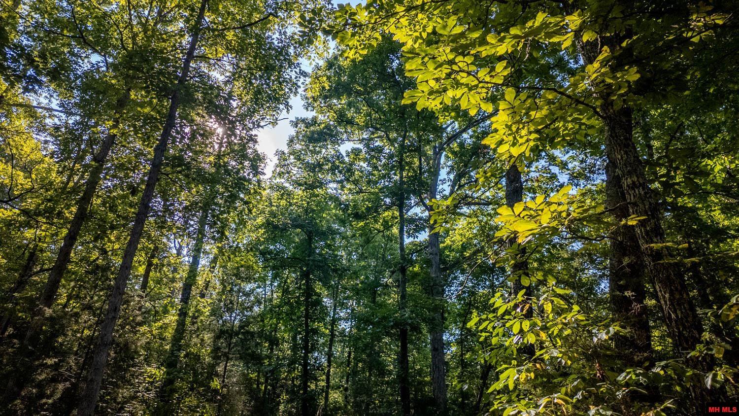 001-07343-014 Calhan Circle