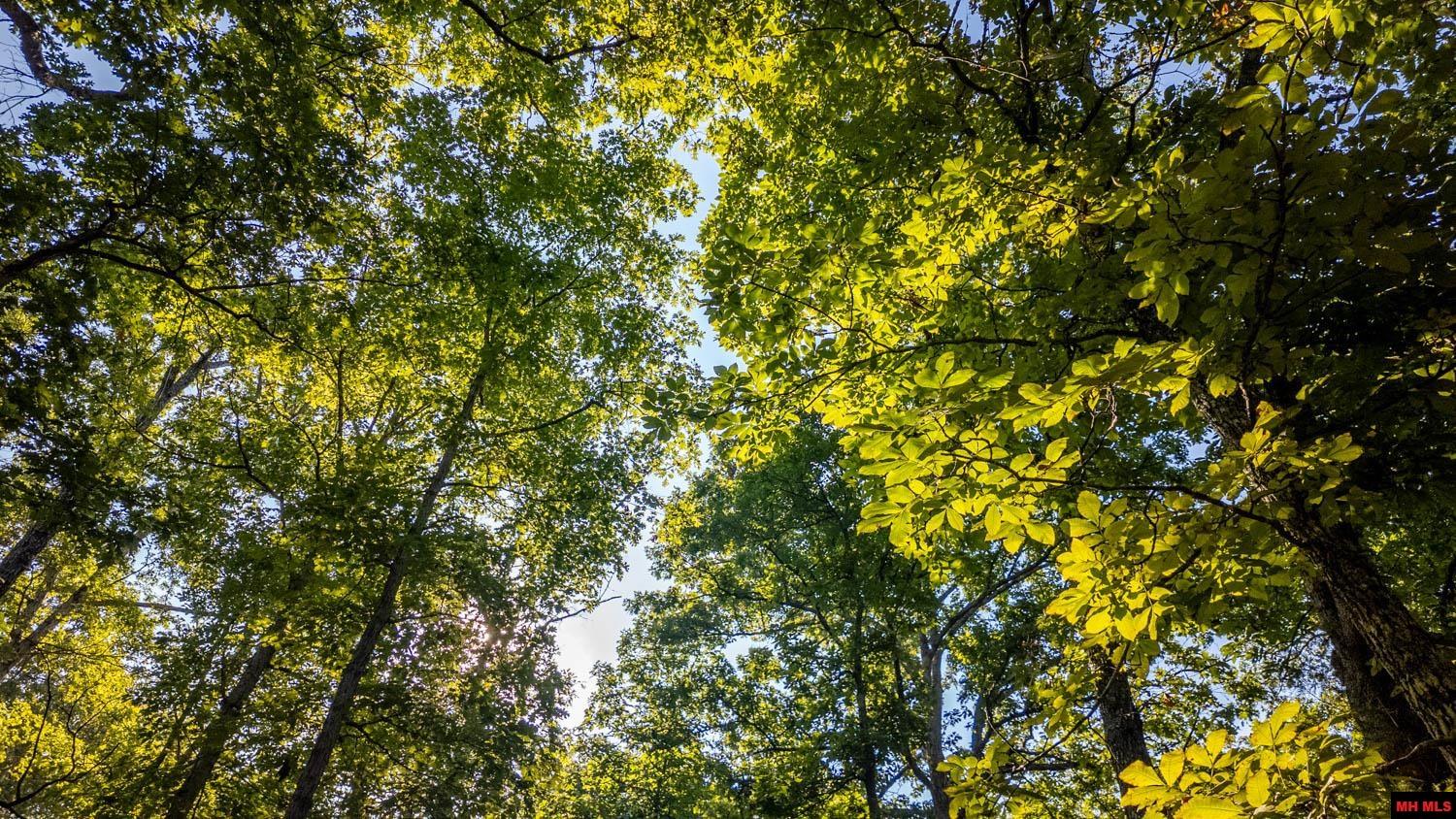 001-07343-014 Calhan Circle