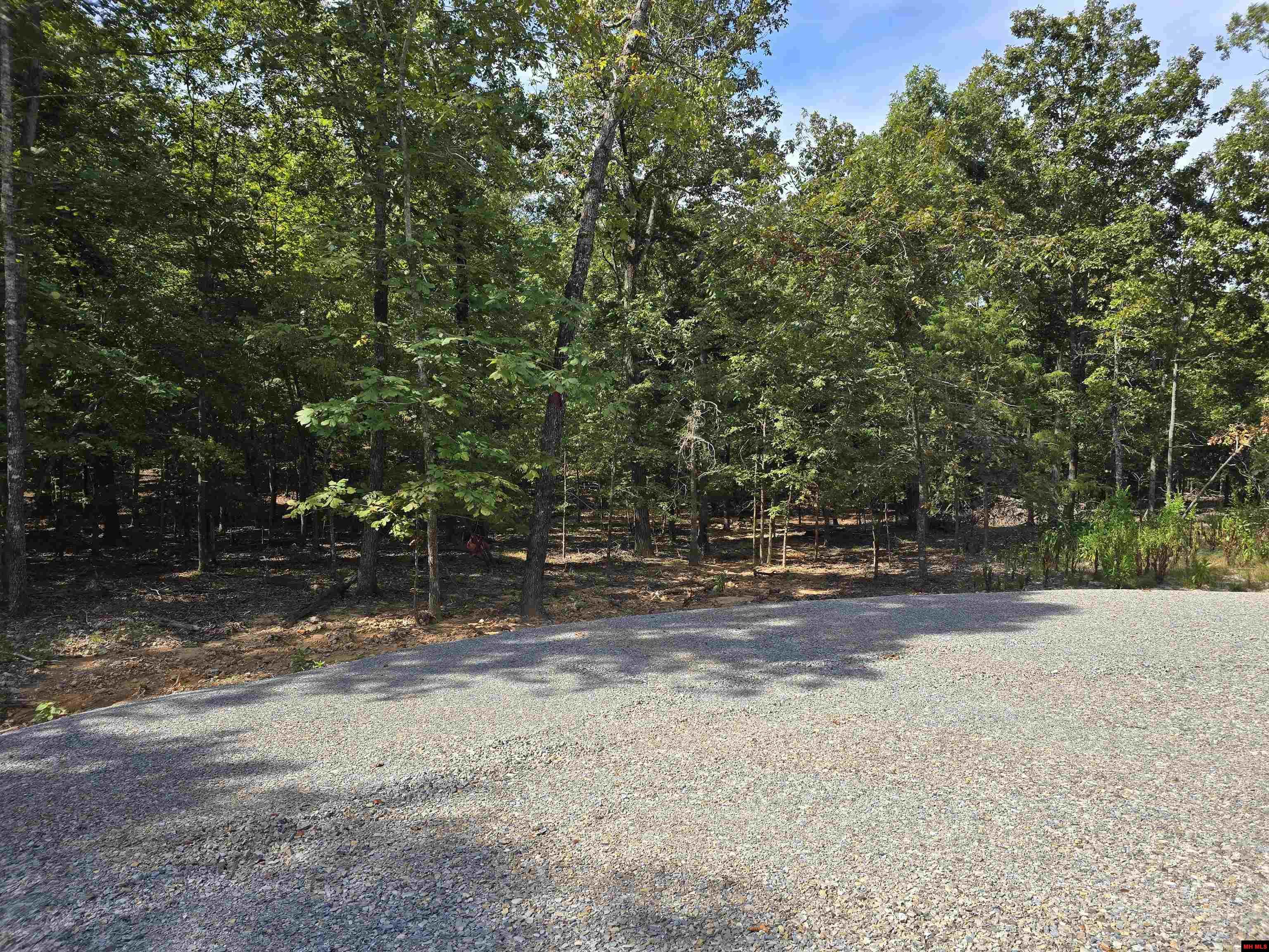 002-02043-000 Rizzler Court