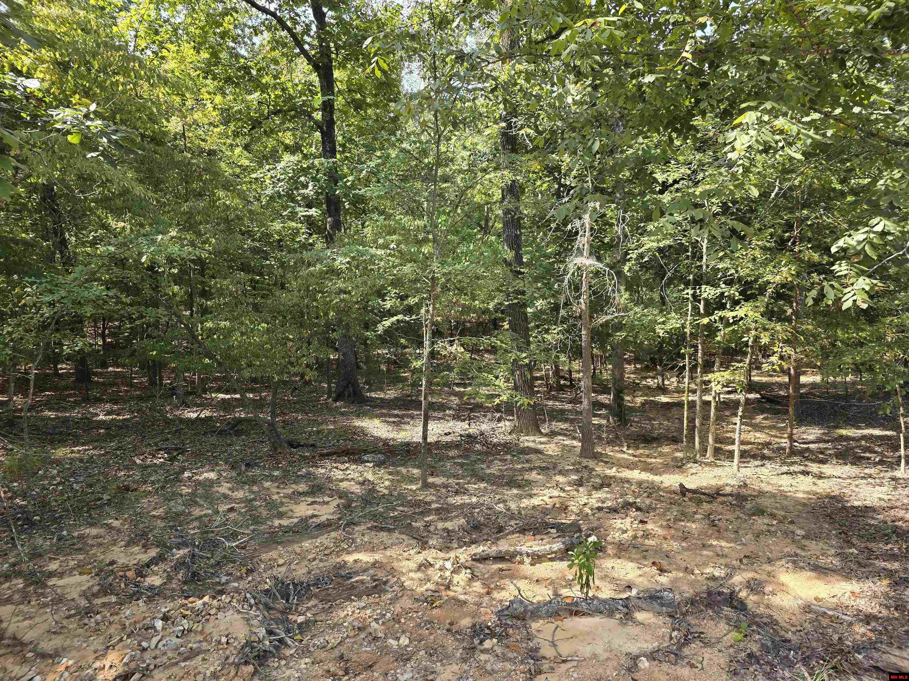 002-02043-000 Rizzler Court