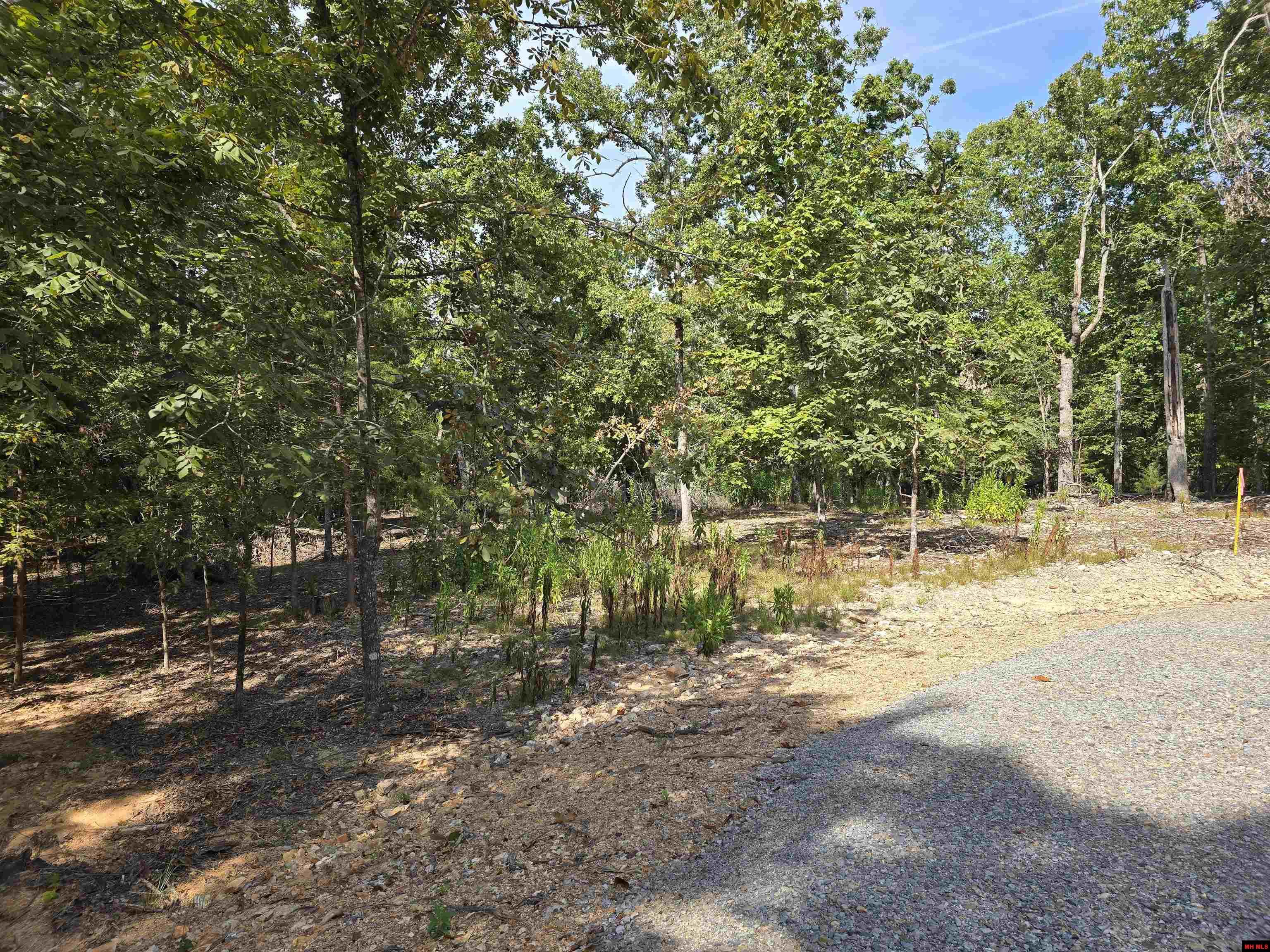 002-02043-000 Rizzler Court