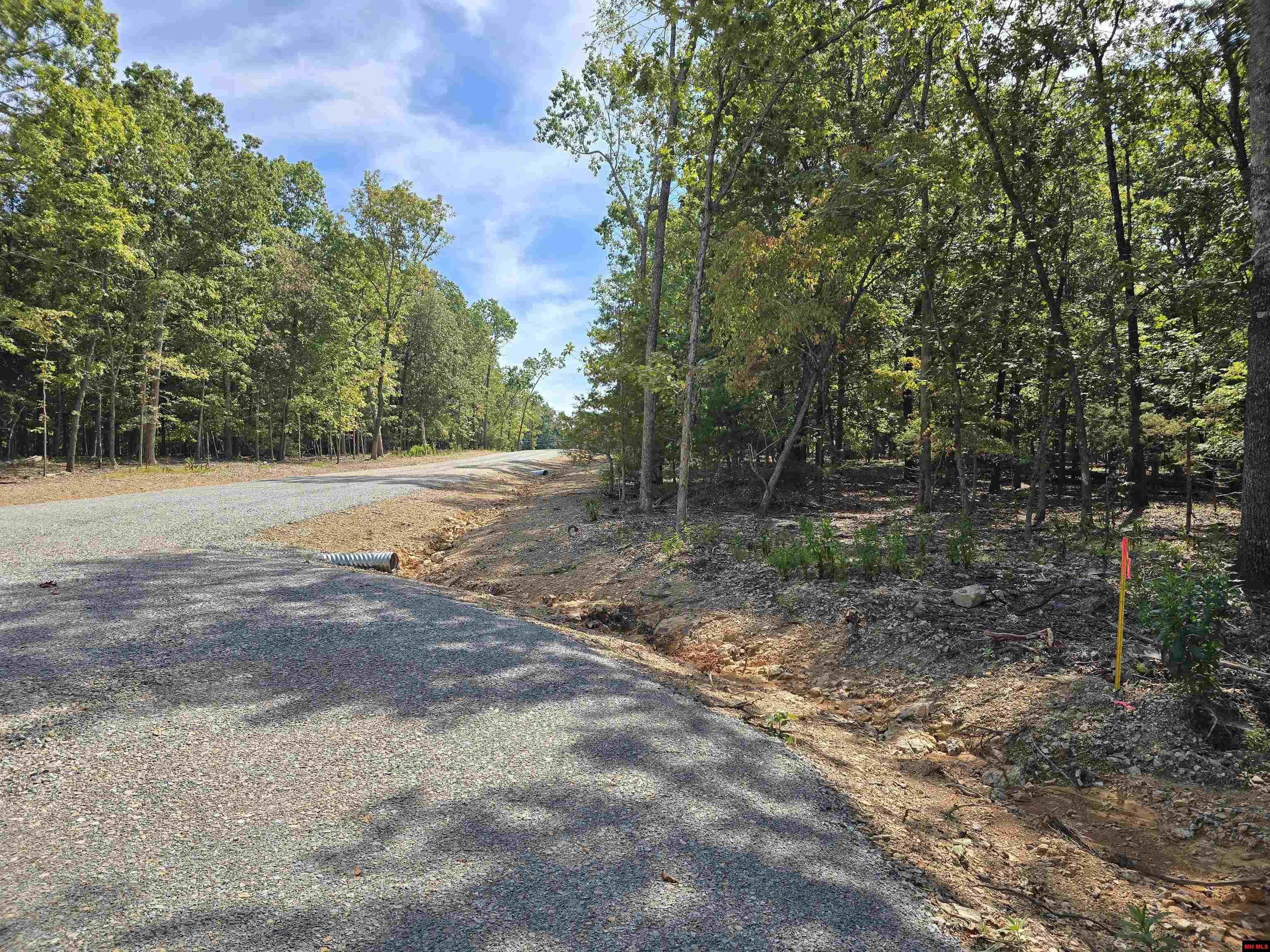 002-02043-000 Rizzler Court