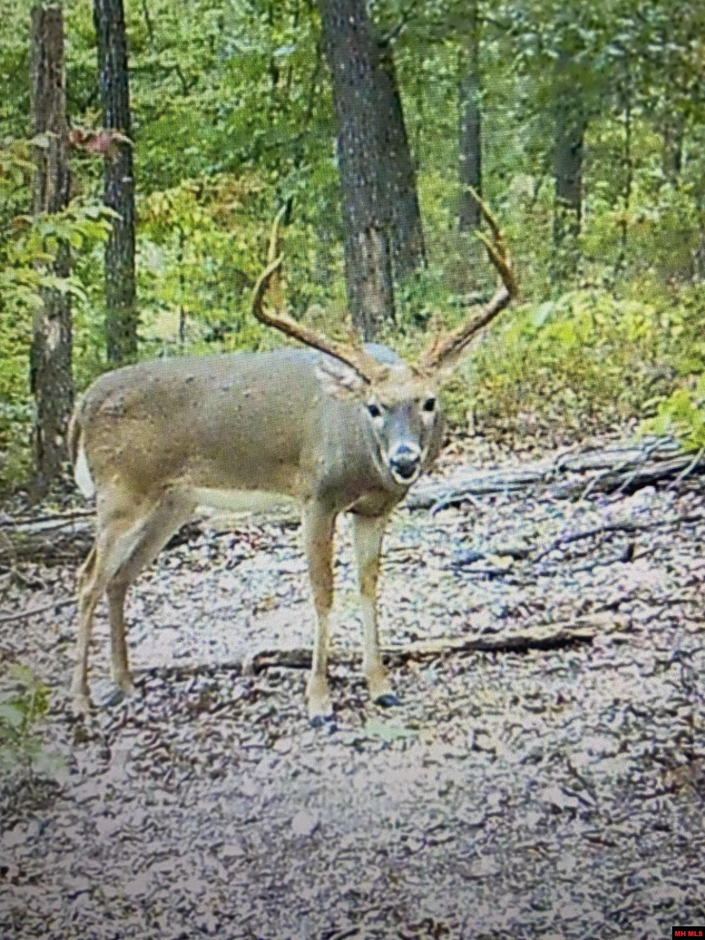 001-10560-000 Mc 3016