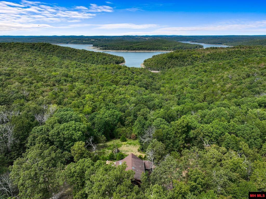 15 VICTORIA LANE Gamaliel, AR