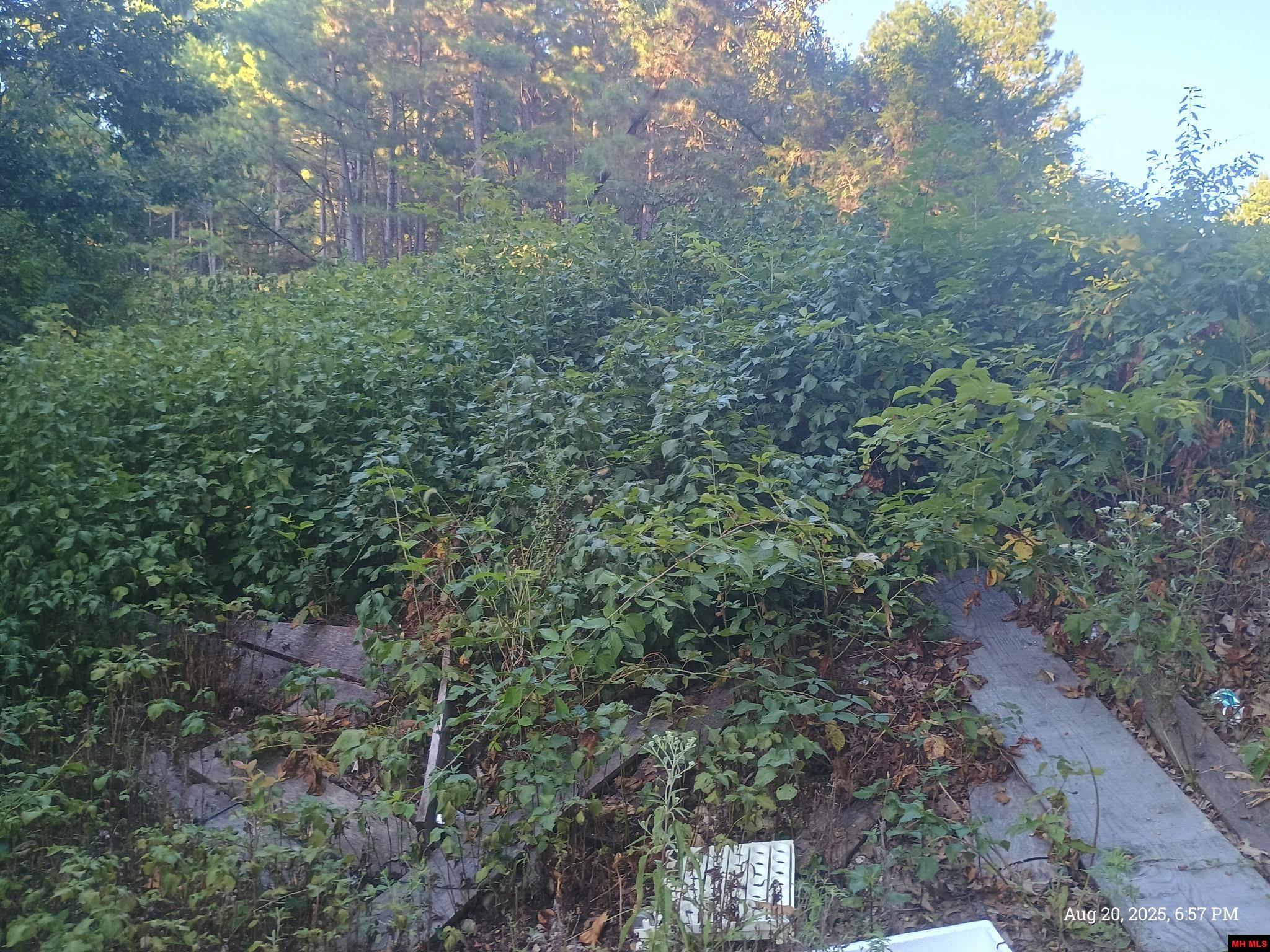 1158 BRUSHY FORK ROAD Yellville, AR