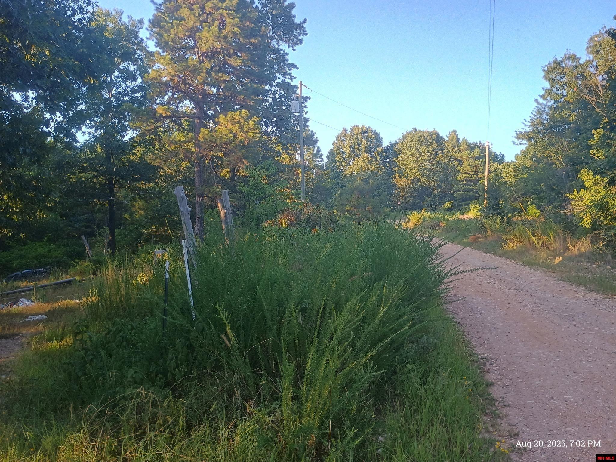 1158 BRUSHY FORK ROAD Yellville, AR