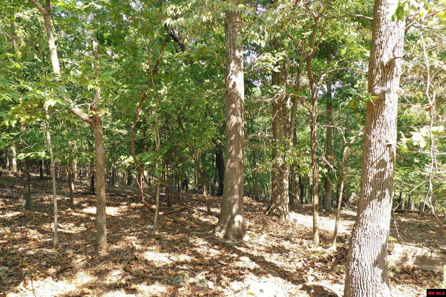 002-00184-000 Belle Cove Road