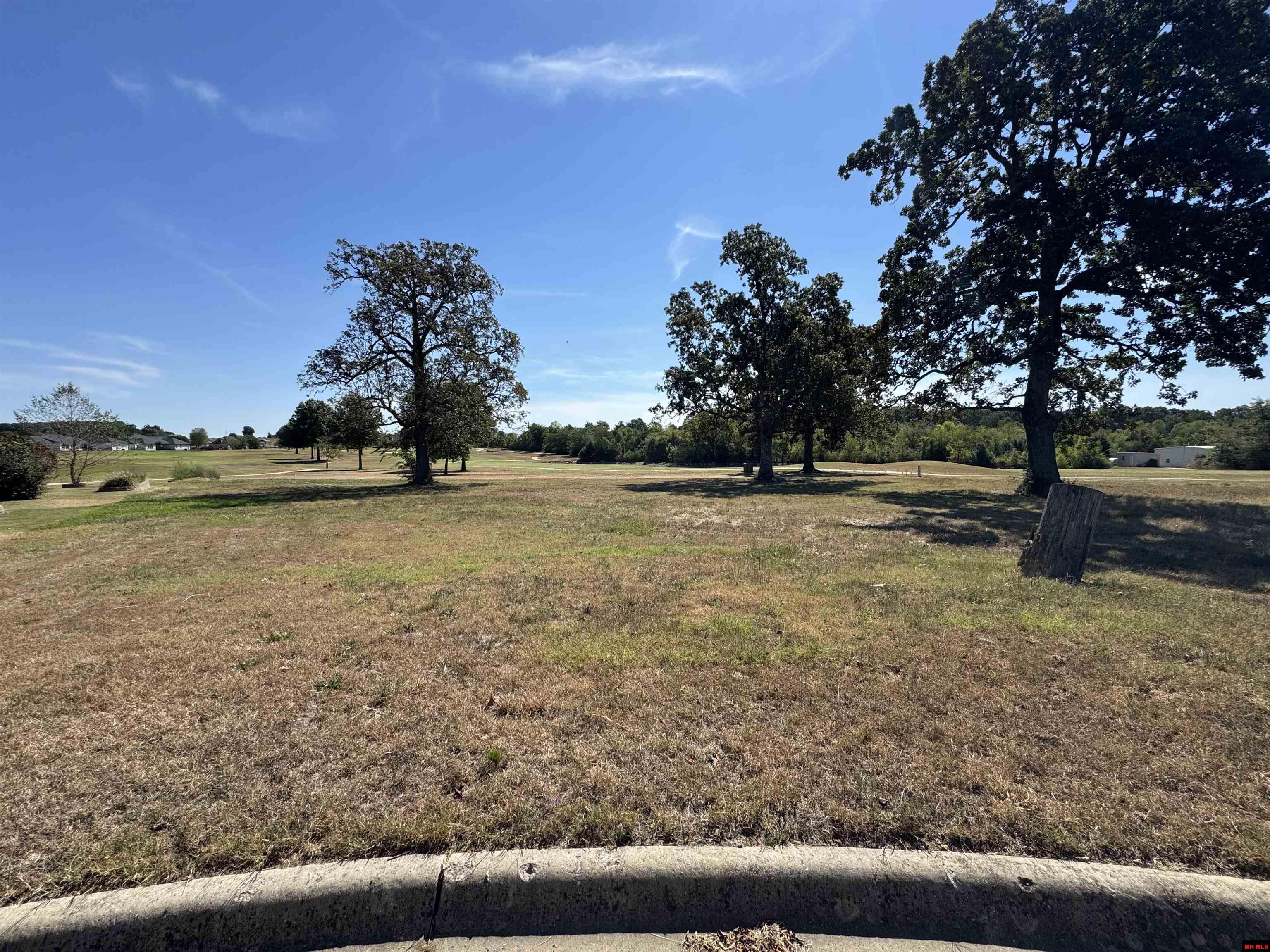 113 Pine Hurst Court