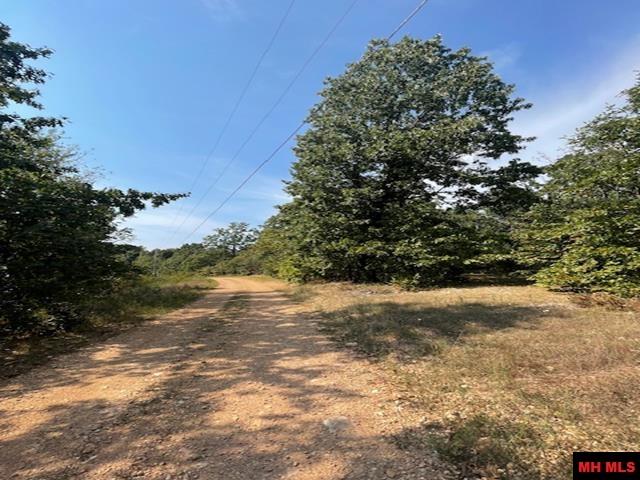 001-04716-000#1 Blueberry Lane