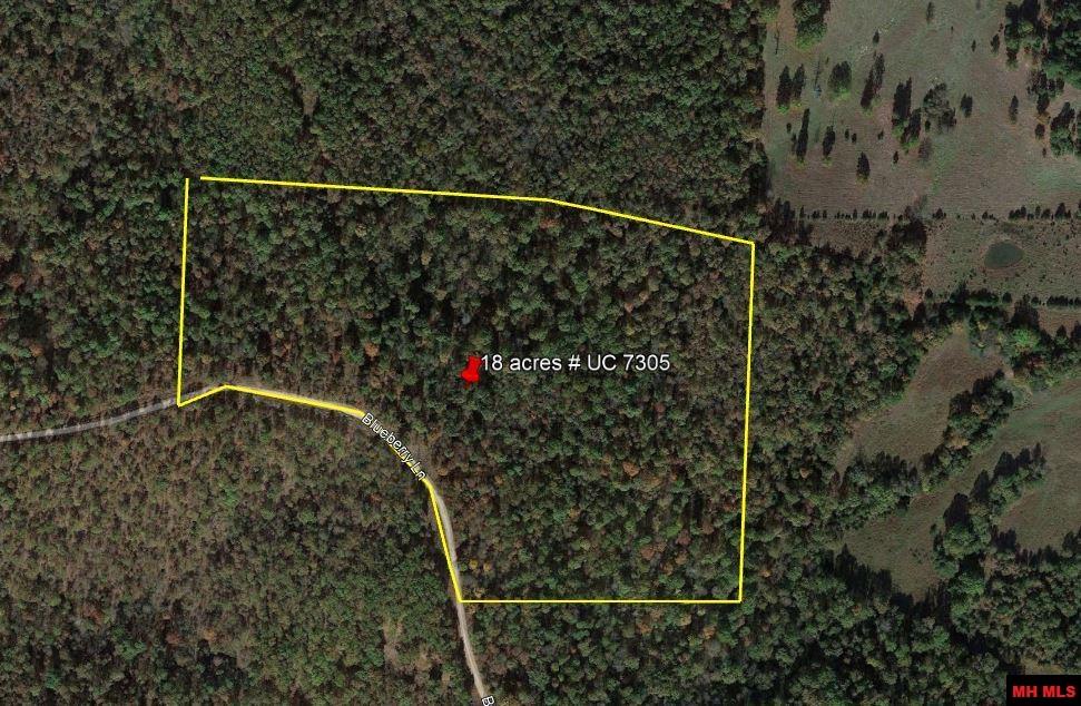 001-04716-000#1 Blueberry Lane