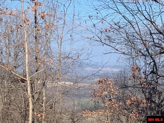 001-04716-000#1 Blueberry Lane