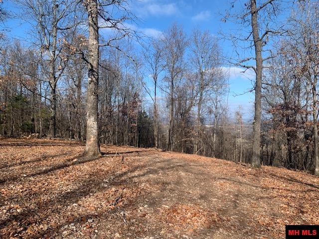 001-04716-000#1 Blueberry Lane