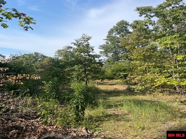 001-04716-000#2 Blueberry Lane