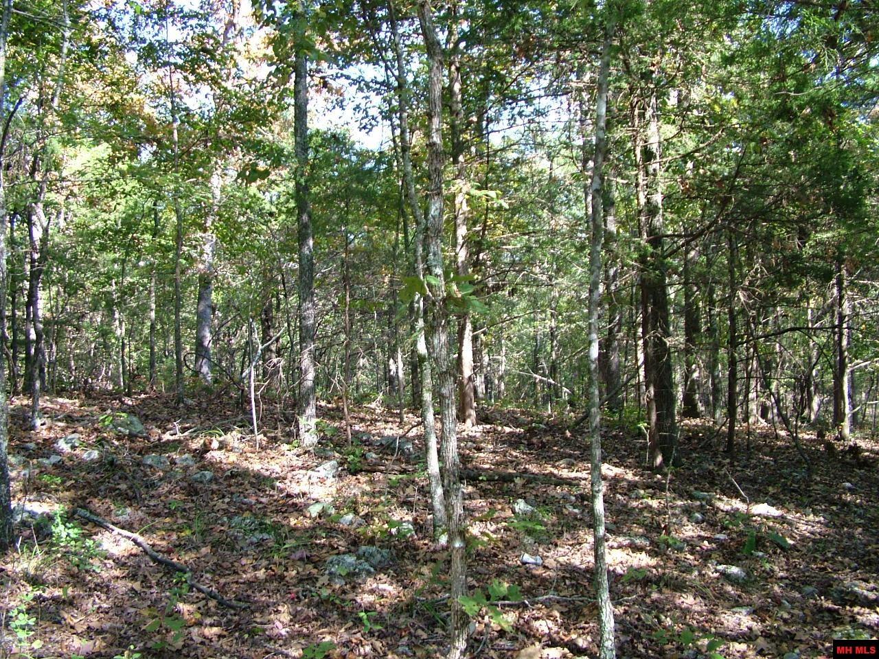 001-00225-001 Mc 6062