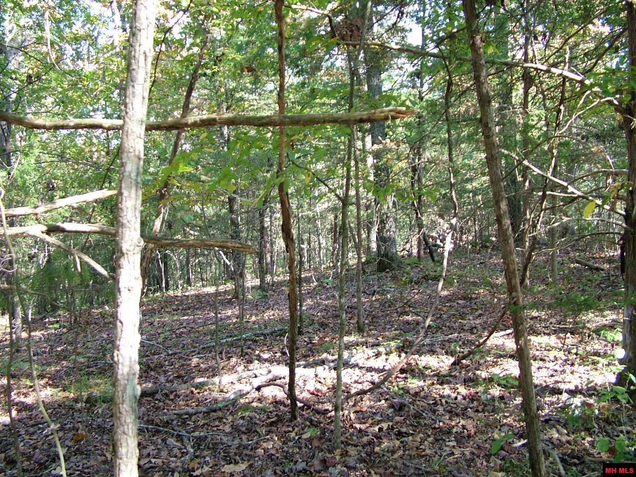 001-00225-001 Mc 6062