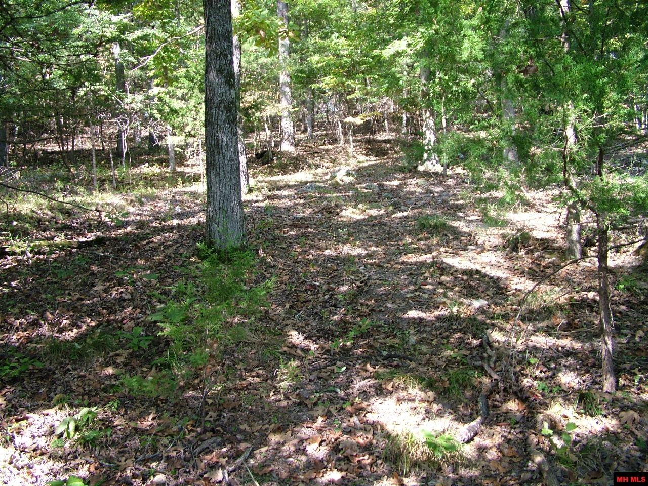 001-00225-001 Mc 6062