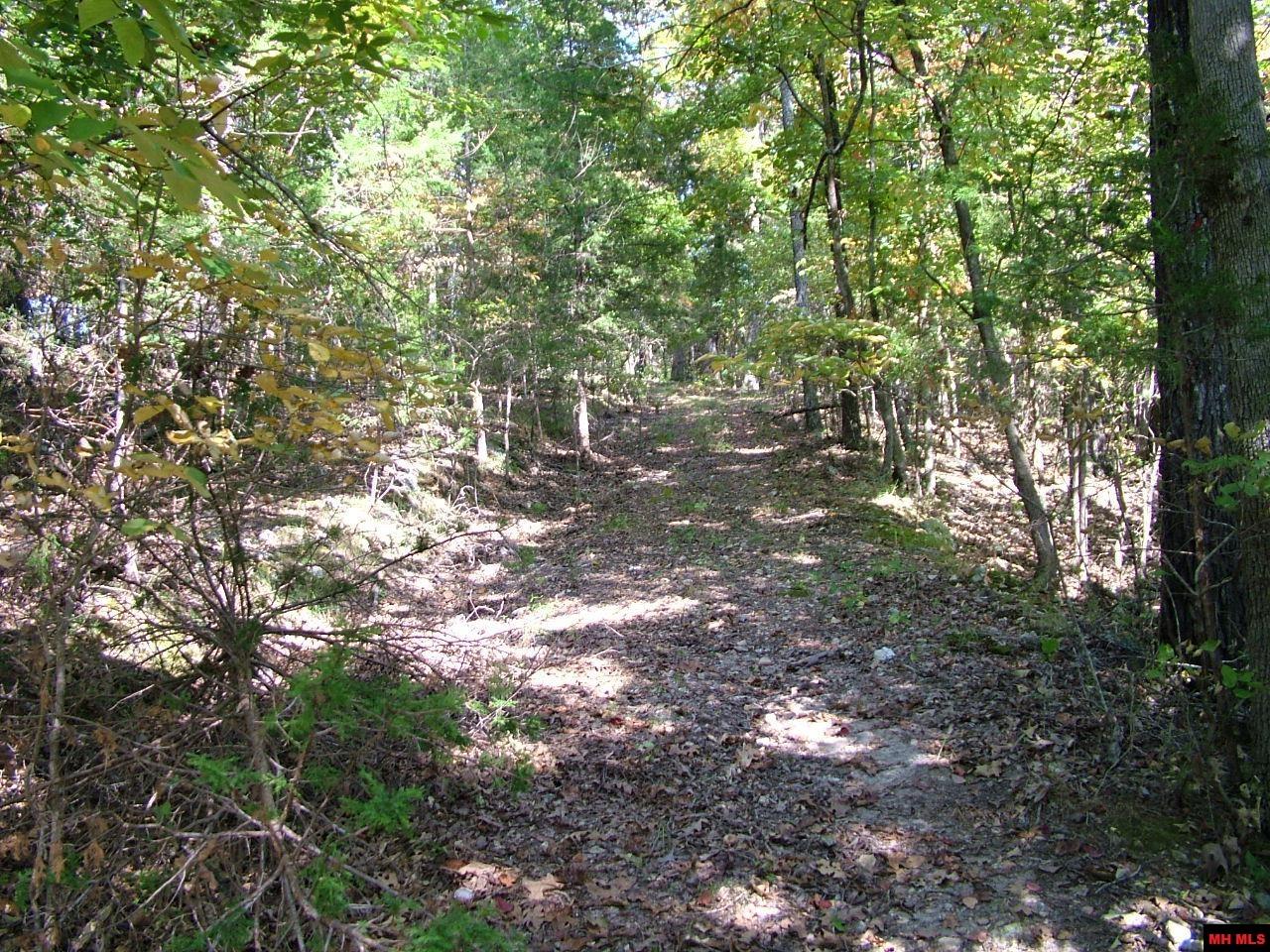 001-00225-001 Mc 6062