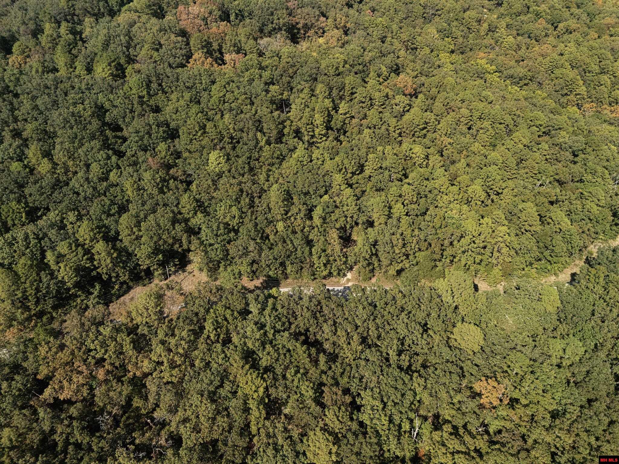 001-01299-000 Dwelle Road