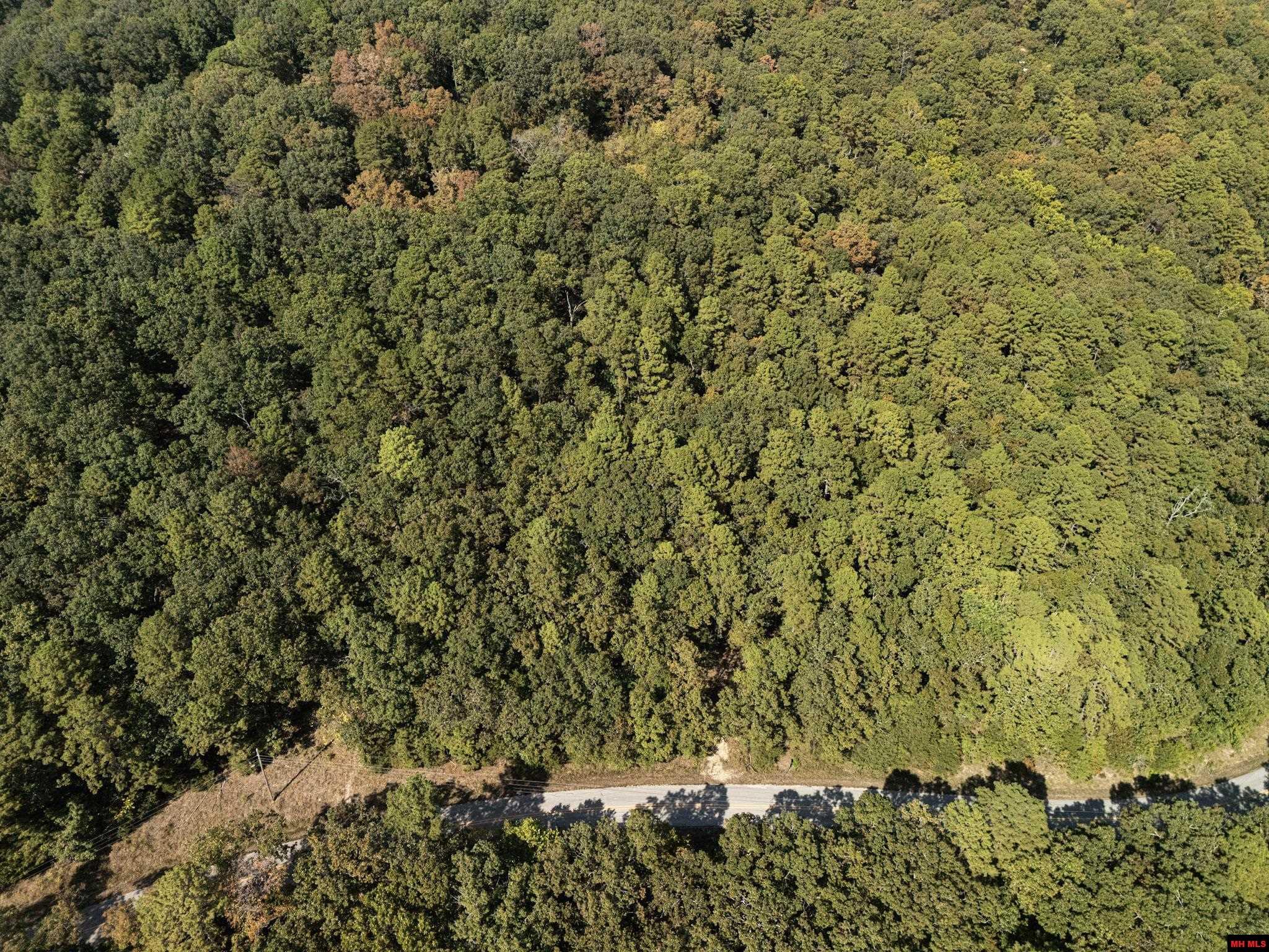 001-01299-000 Dwelle Road