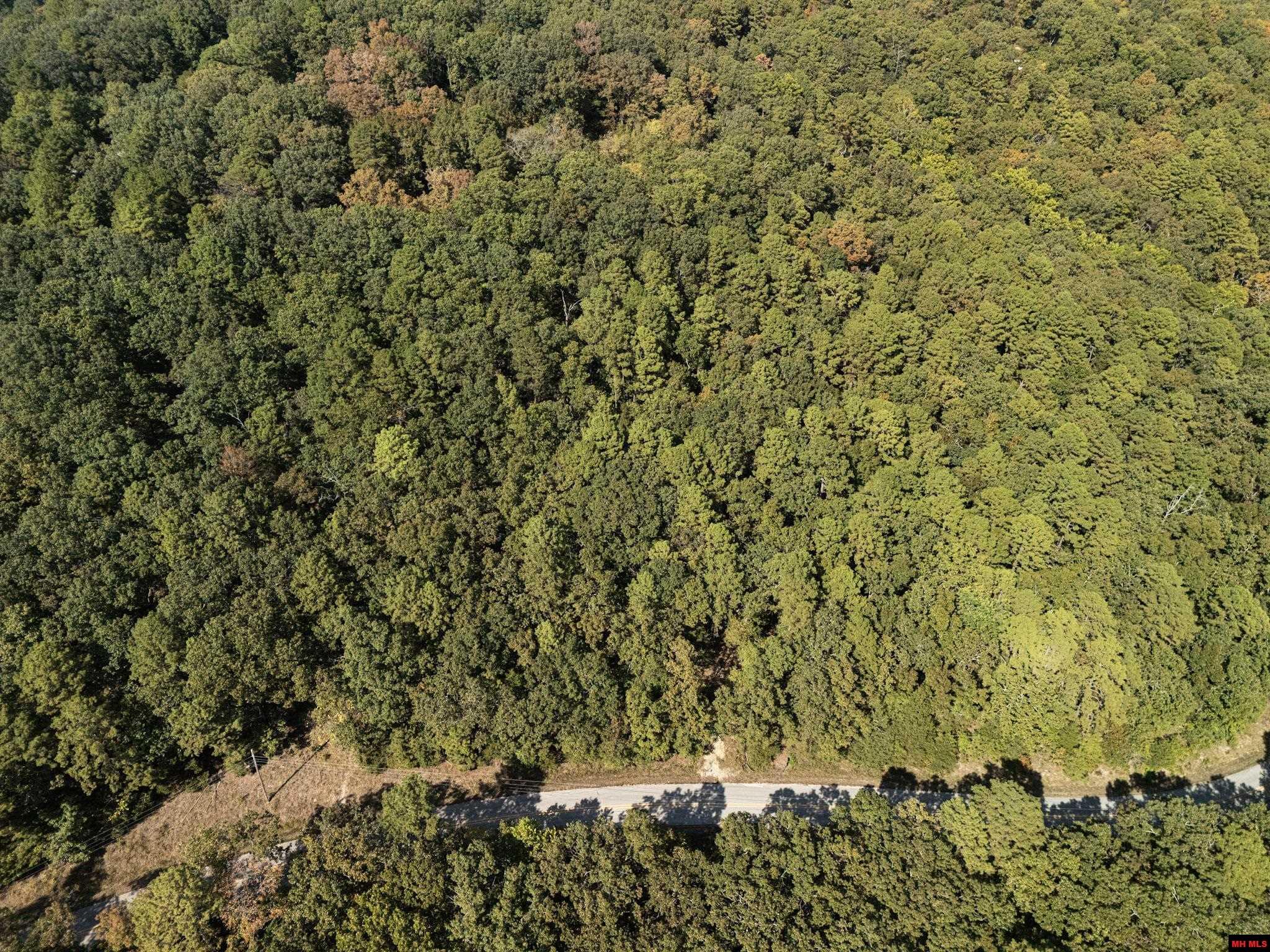 001-01299-000 Dwelle Road