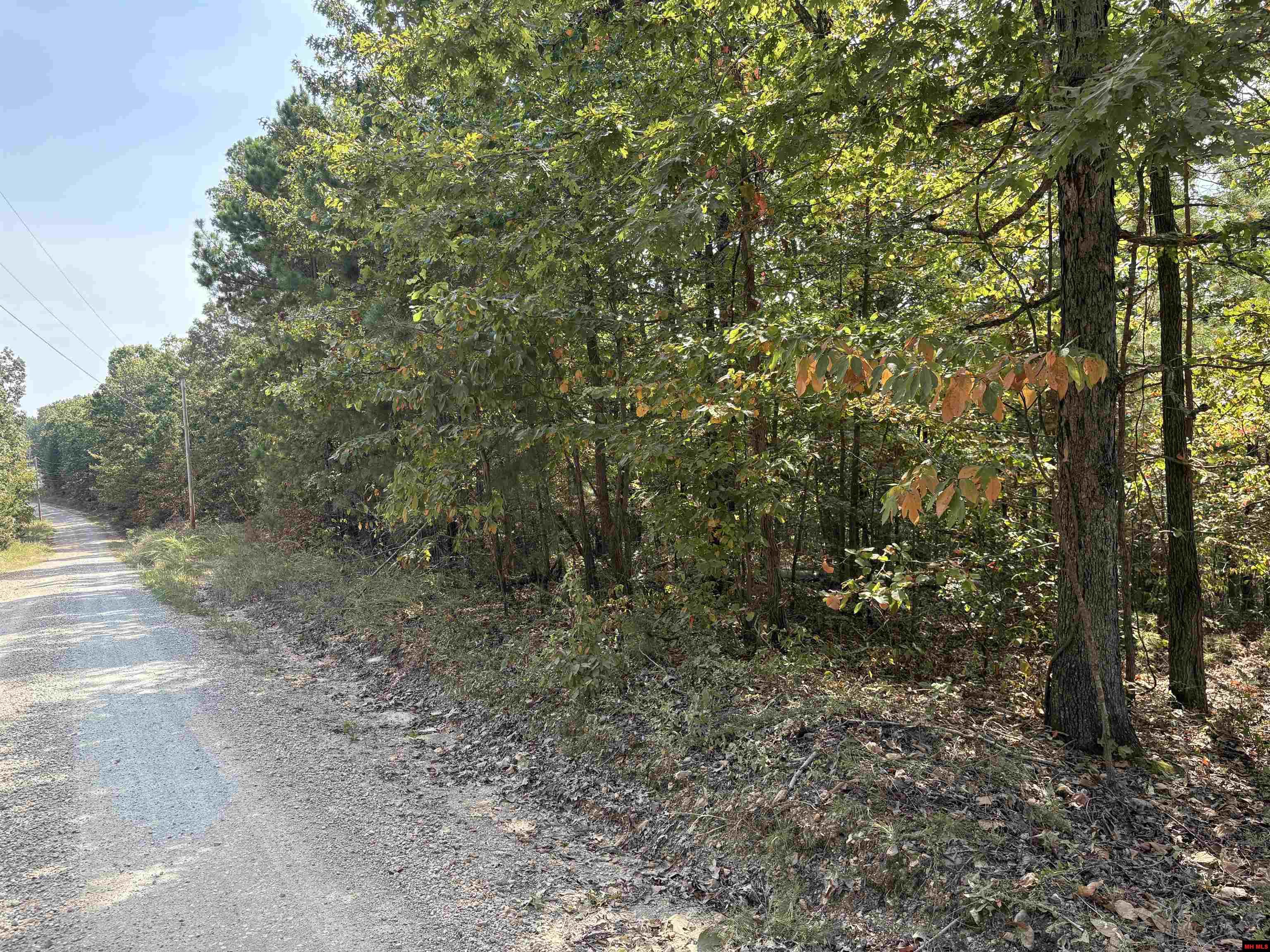 001-03594-001 Mc 6047