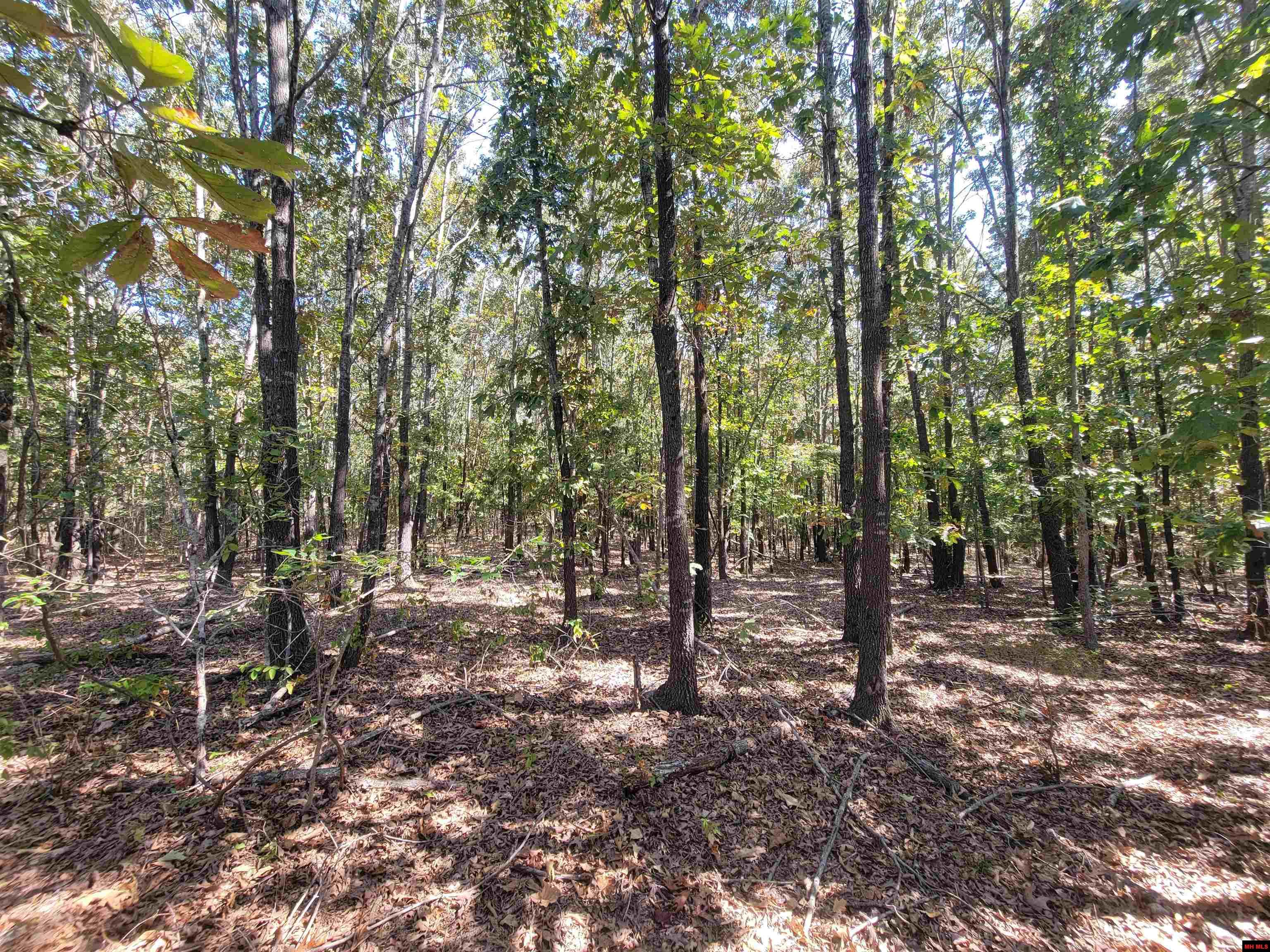 11-0.3-05-000-0 Cr 330