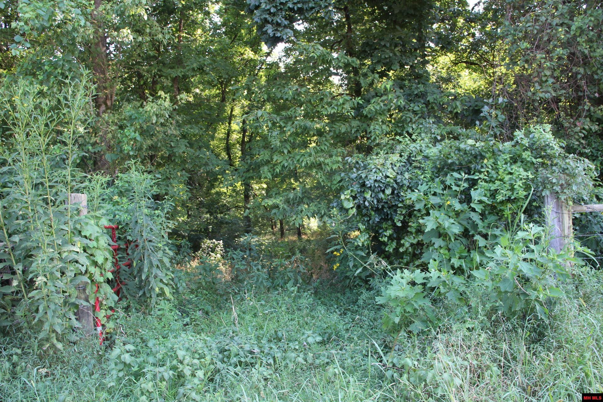 001-07419-000 Mc 4003