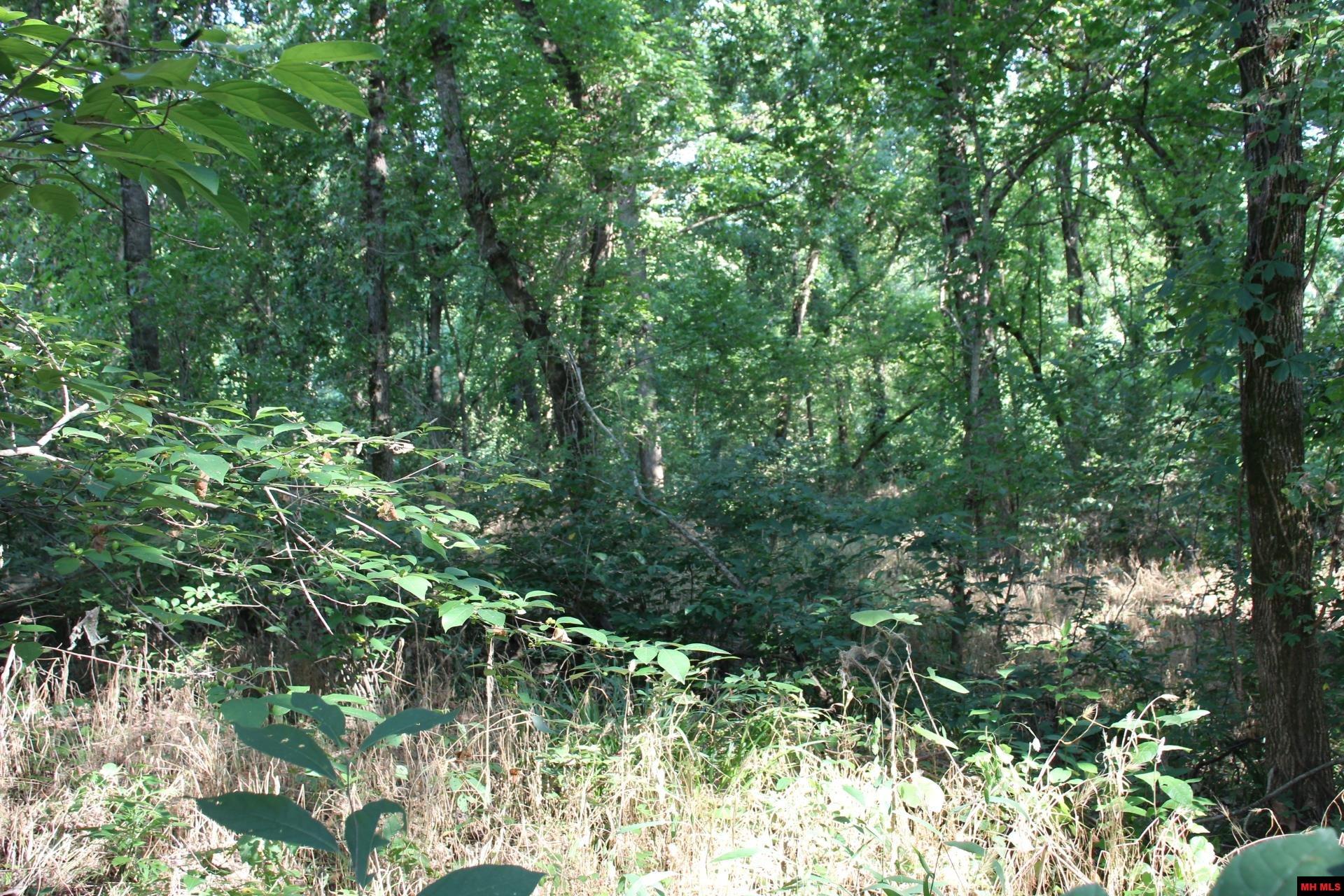 001-07419-000 Mc 4003