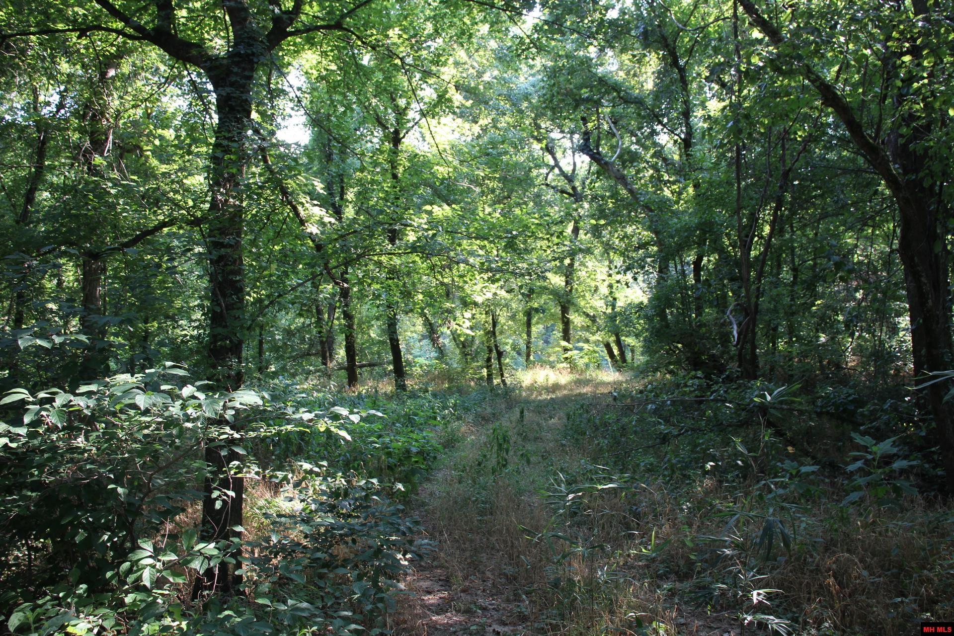 001-07419-000 Mc 4003