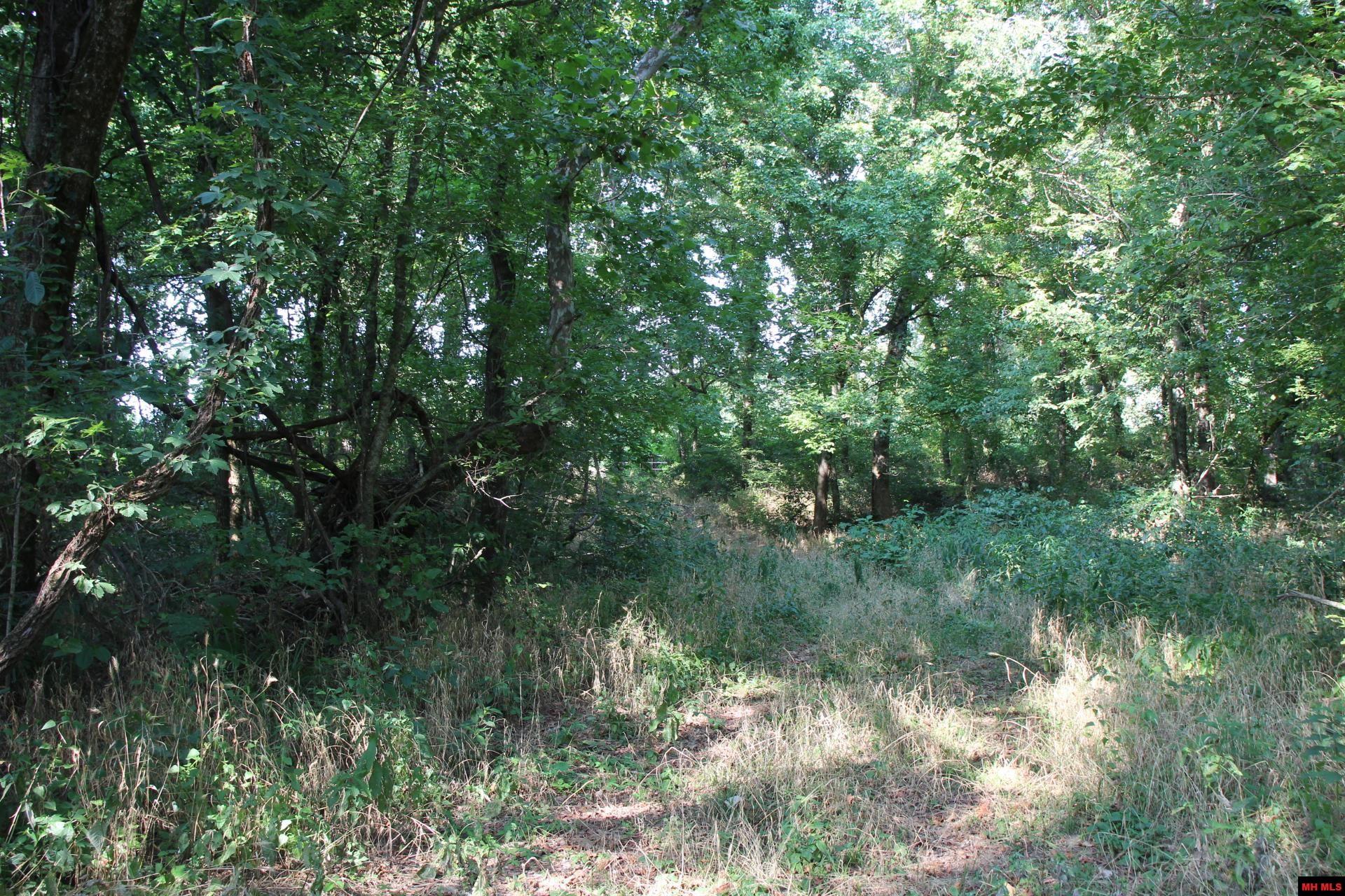 001-07419-000 Mc 4003