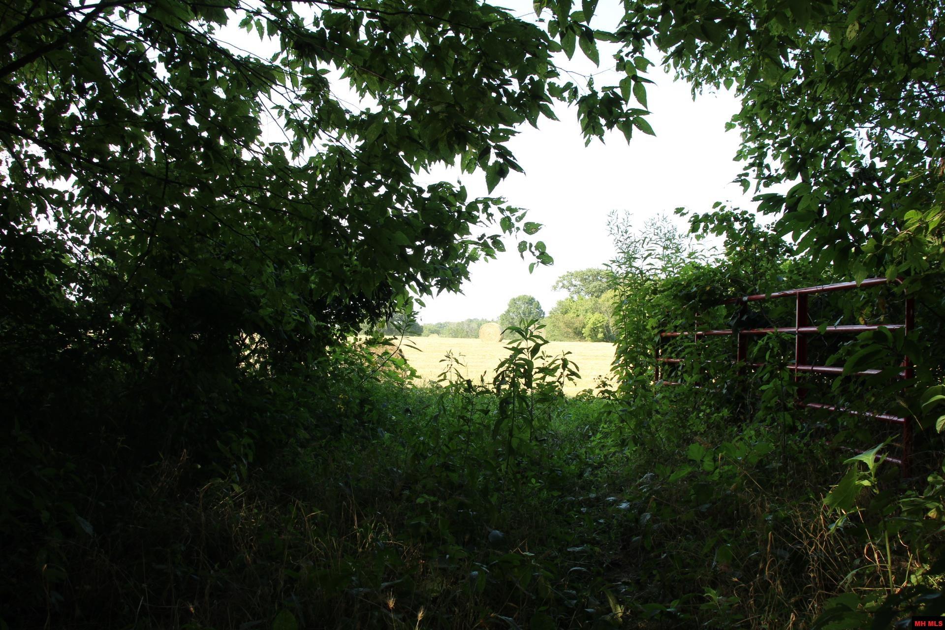 001-07419-000 Mc 4003