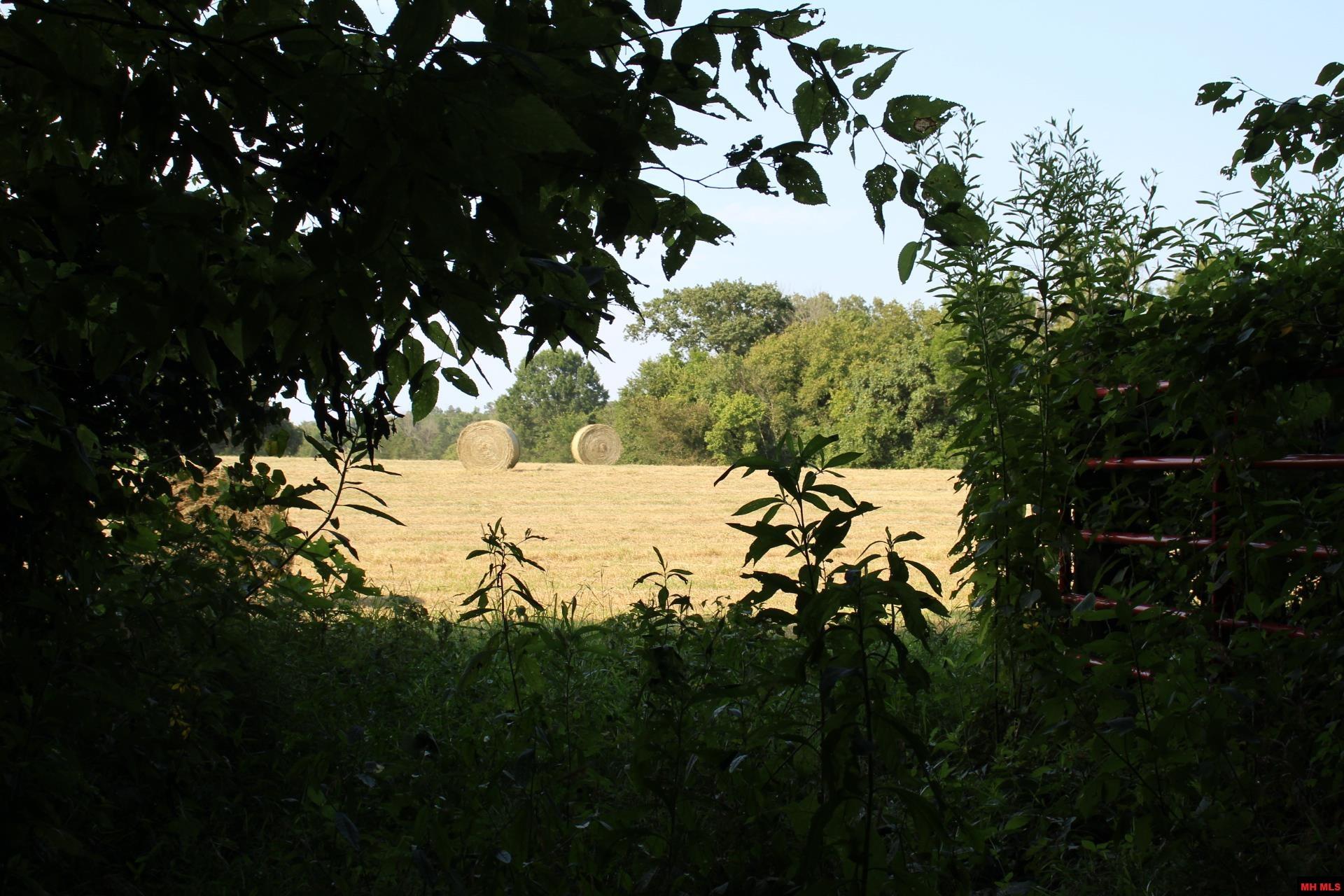 001-07419-000 Mc 4003