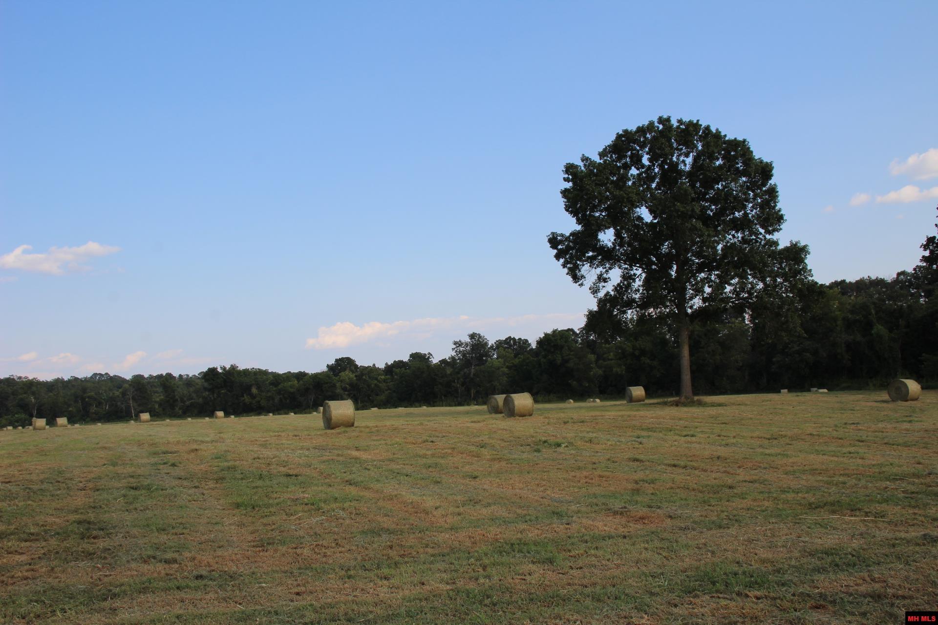 001-07419-000 Mc 4003