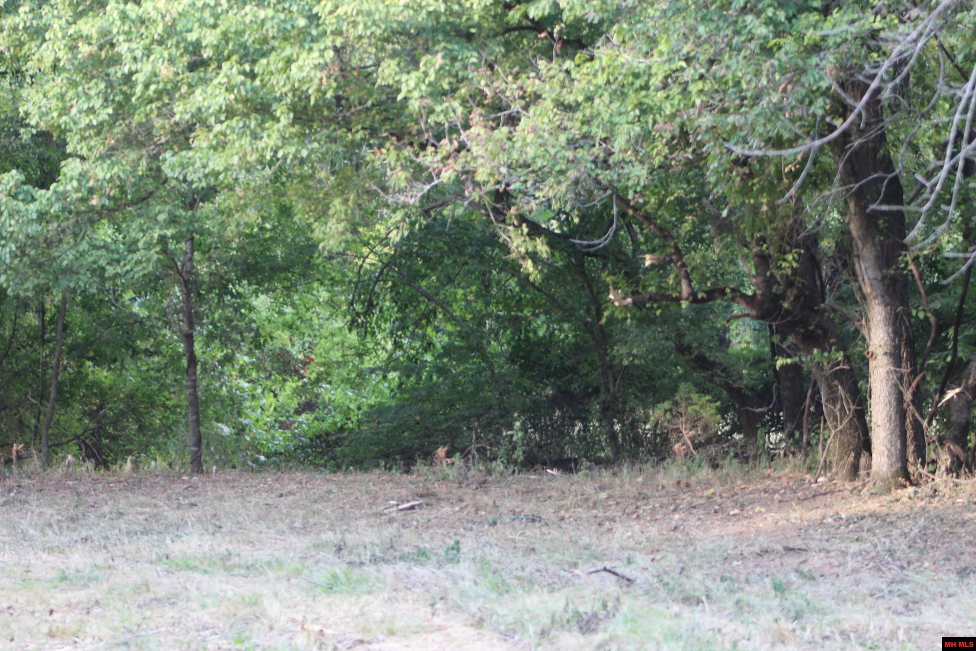 001-07419-000 Mc 4003