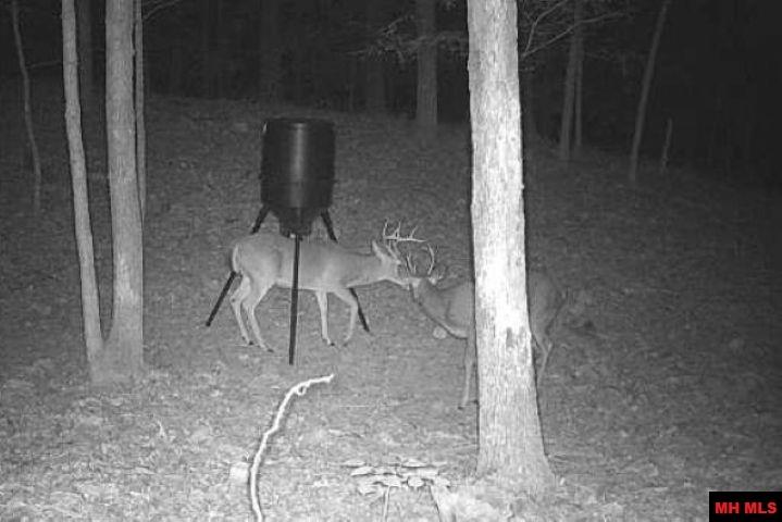 Tract A Rocky Ridge Road