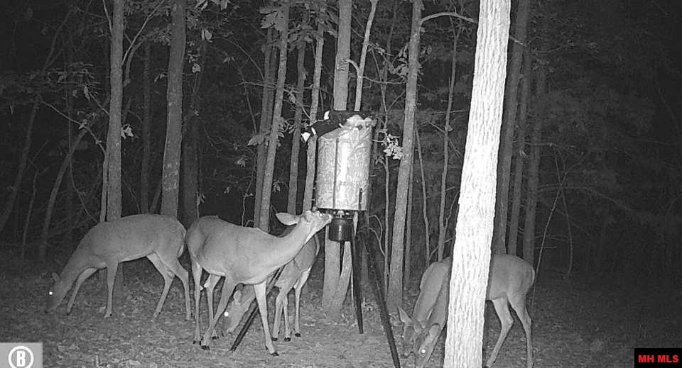 Tract D Rocky Ridge Road