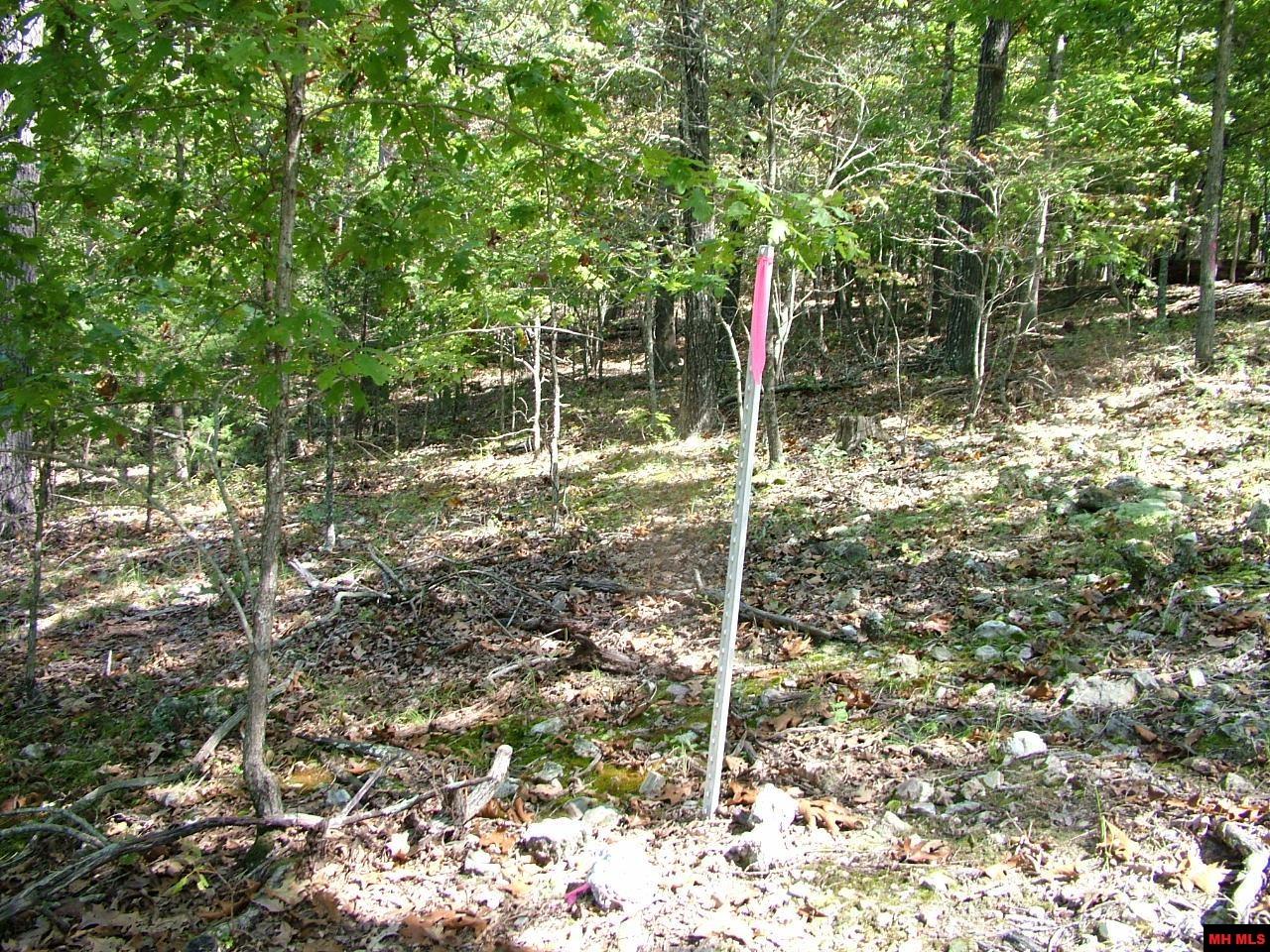 Tract D Rocky Ridge Road