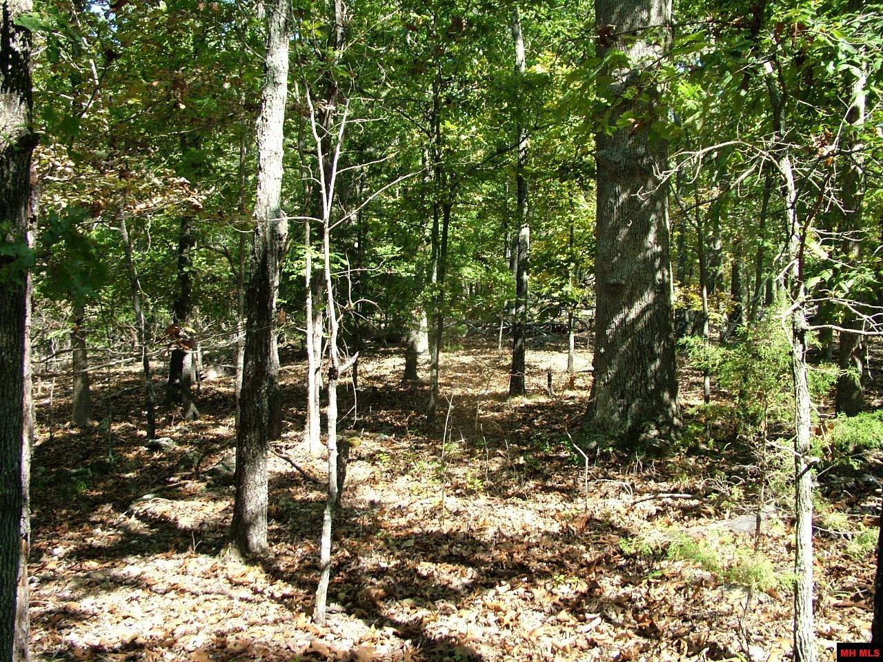 Tract D Rocky Ridge Road