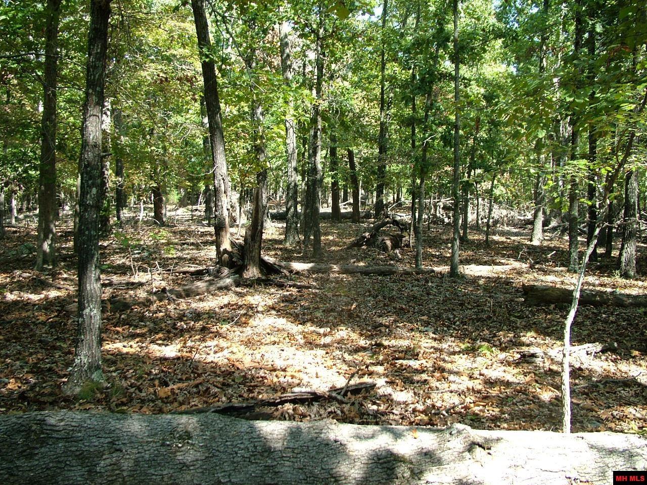 Tract D Rocky Ridge Road