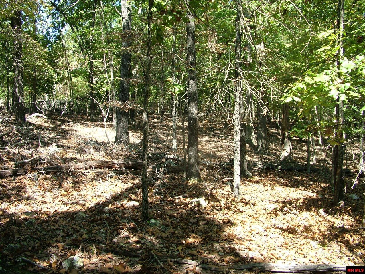 Tract D Rocky Ridge Road