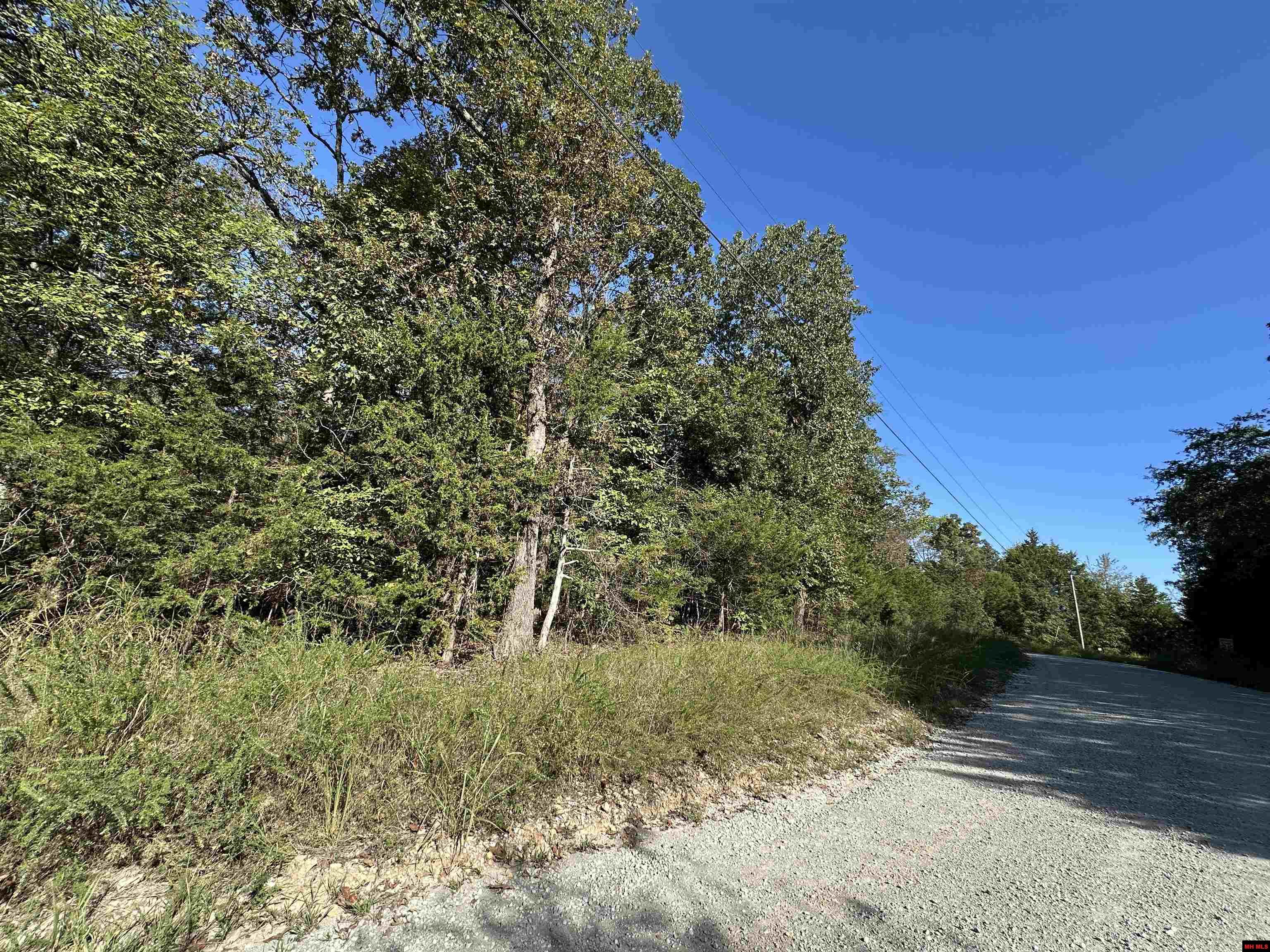 Lots 1 & 2 Round Mountain Drive