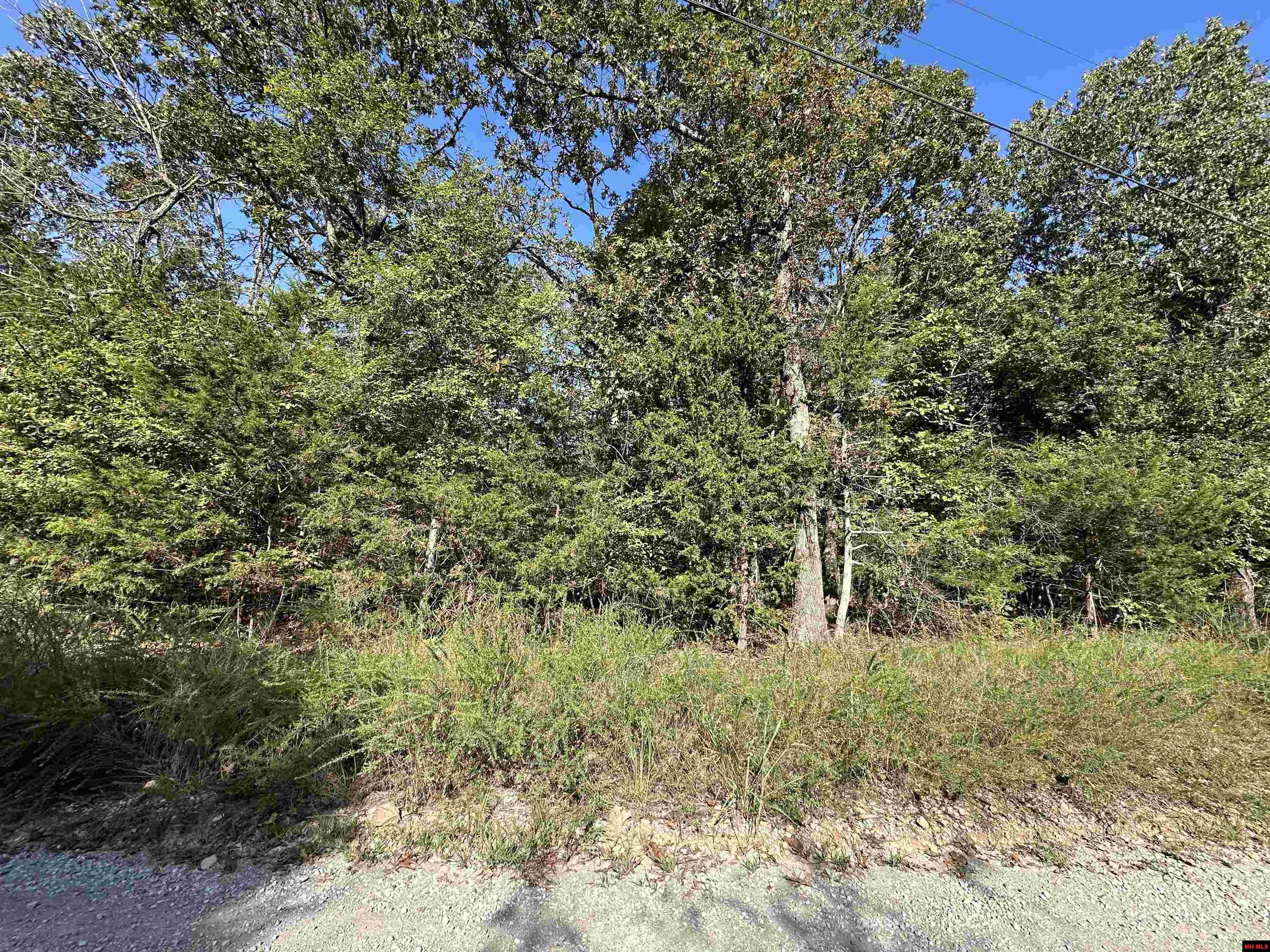 Lots 1 & 2 Round Mountain Drive