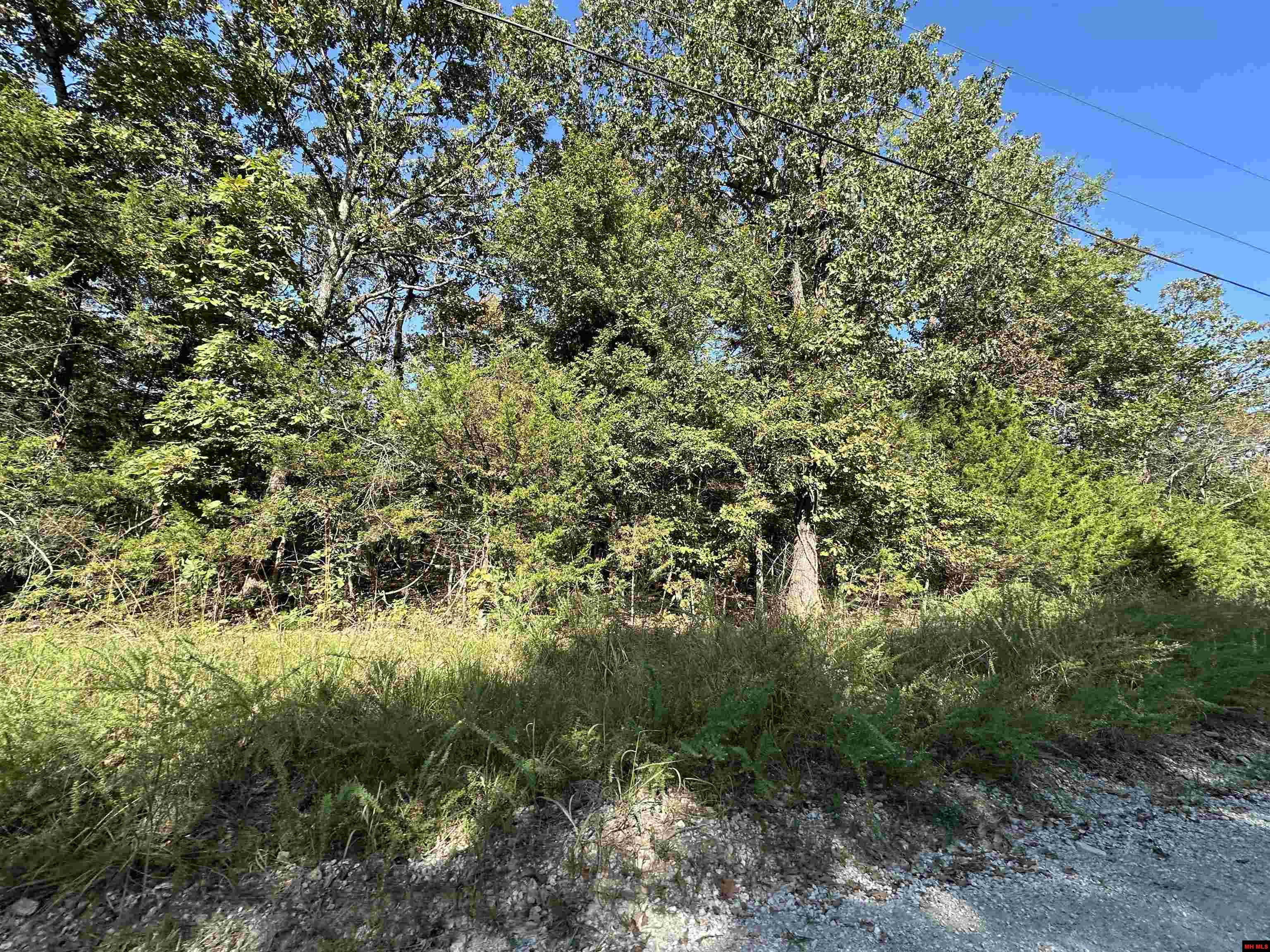 Lots 1 & 2 Round Mountain Drive