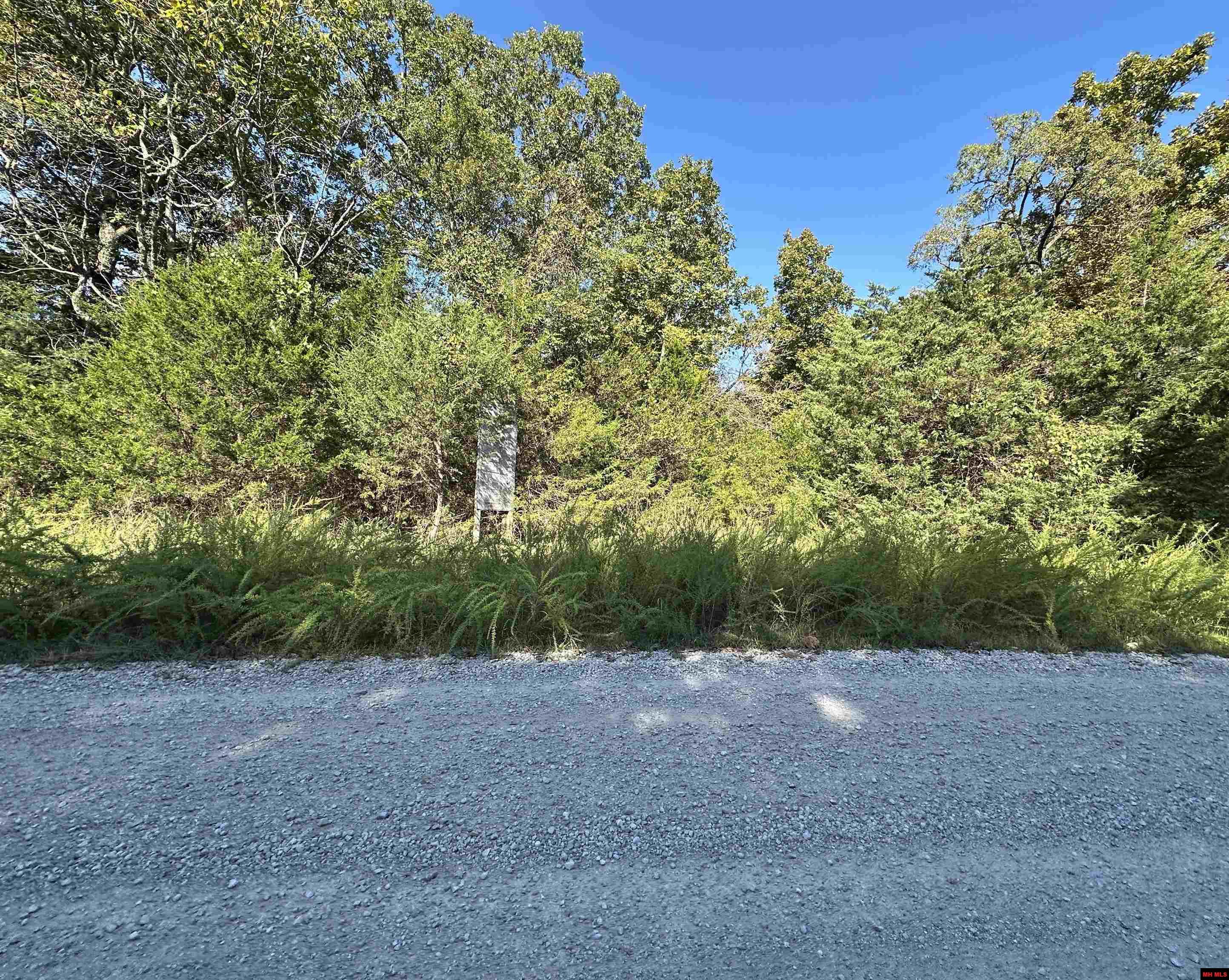 Lots 1 & 2 Round Mountain Drive