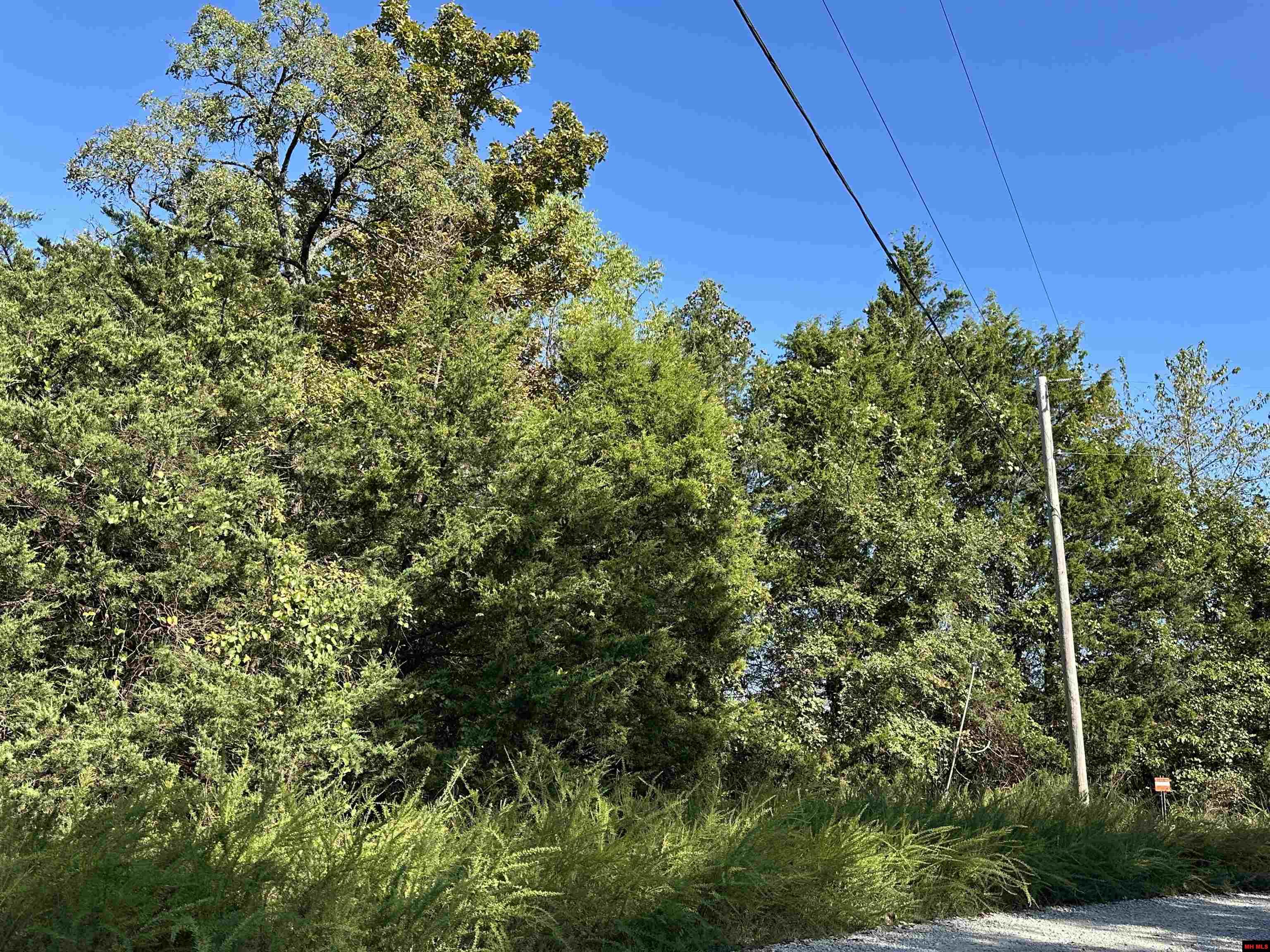 Lots 1 & 2 Round Mountain Drive