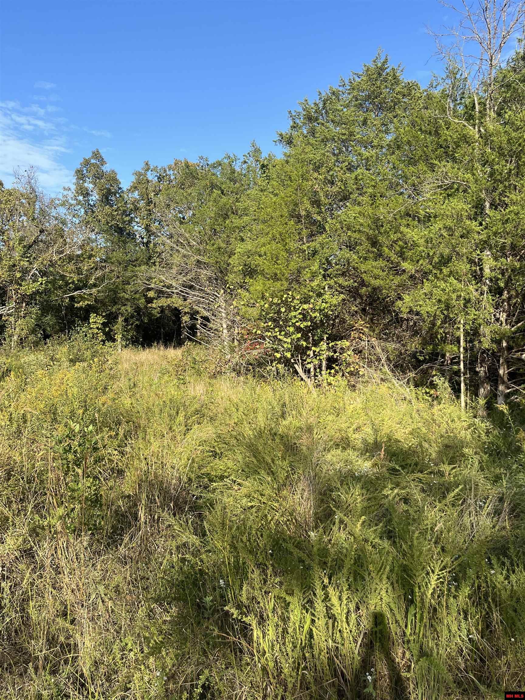 2 Silver Fox Ridge Road