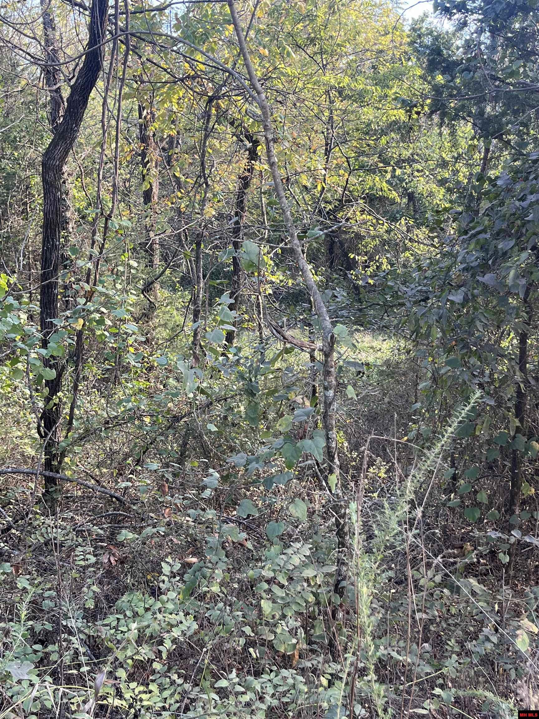 2 Silver Fox Ridge Road