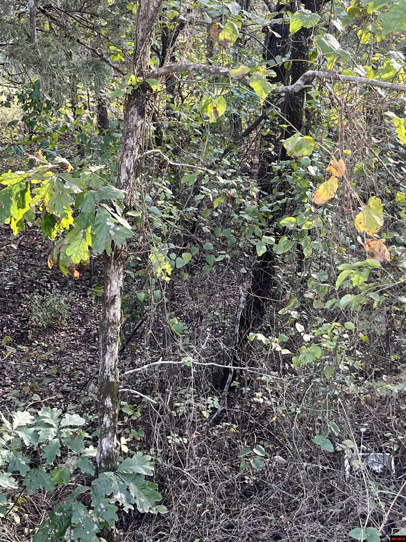 2 Silver Fox Ridge Road