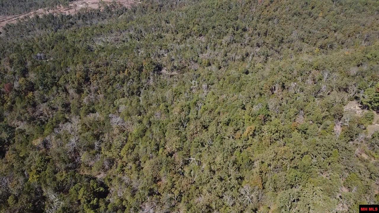 009-02955-000 Owens Drive